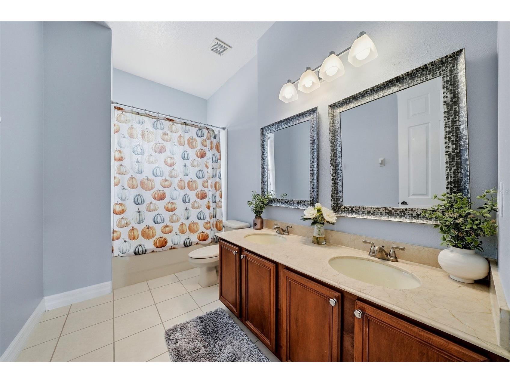 18043 Cozumel Isle Drive Tampa FL 33647 L4962475 image53