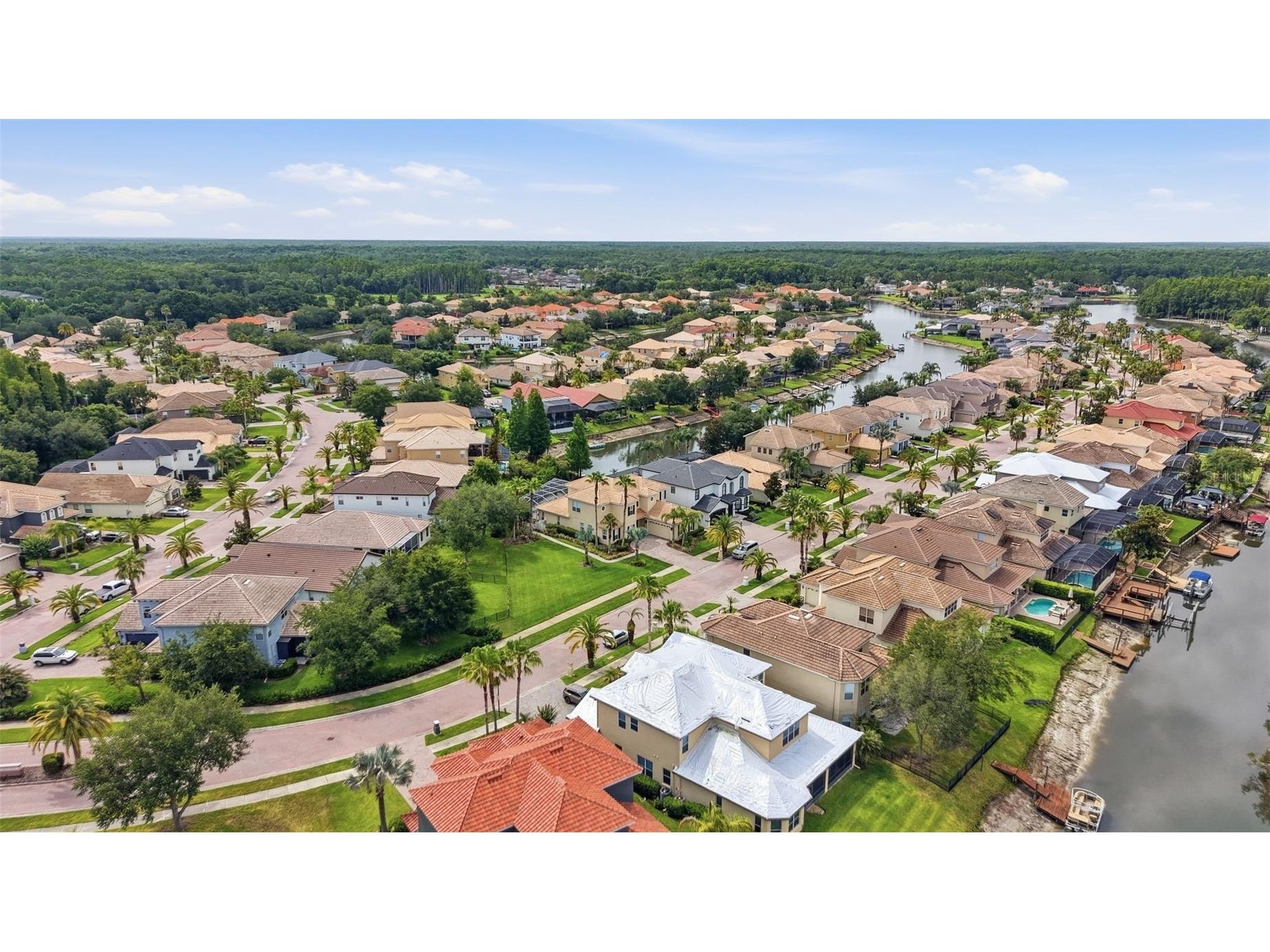 18043 Cozumel Isle Drive Tampa FL 33647 L4962475 image69