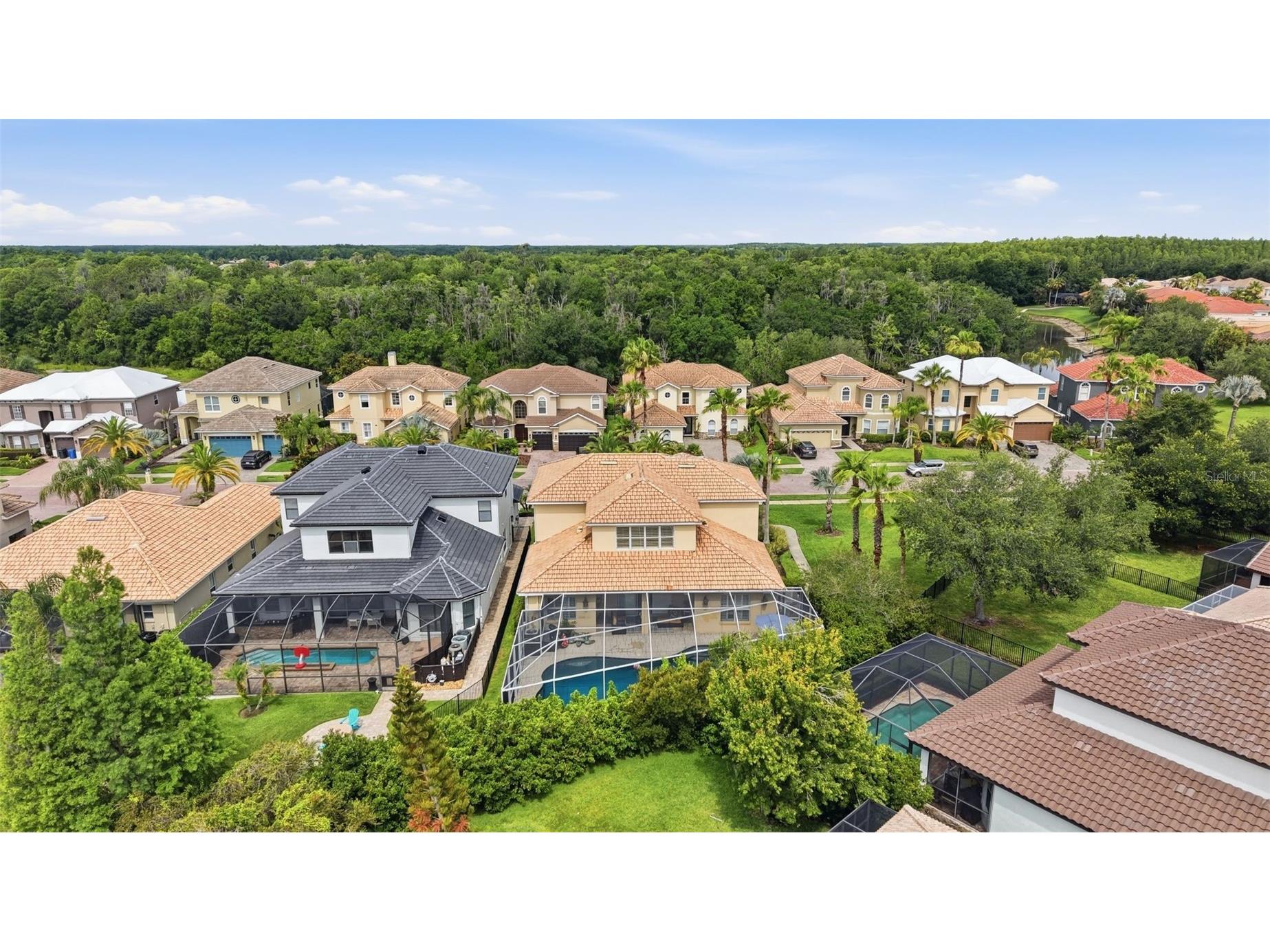 18043 Cozumel Isle Drive Tampa FL 33647 L4962475 image70