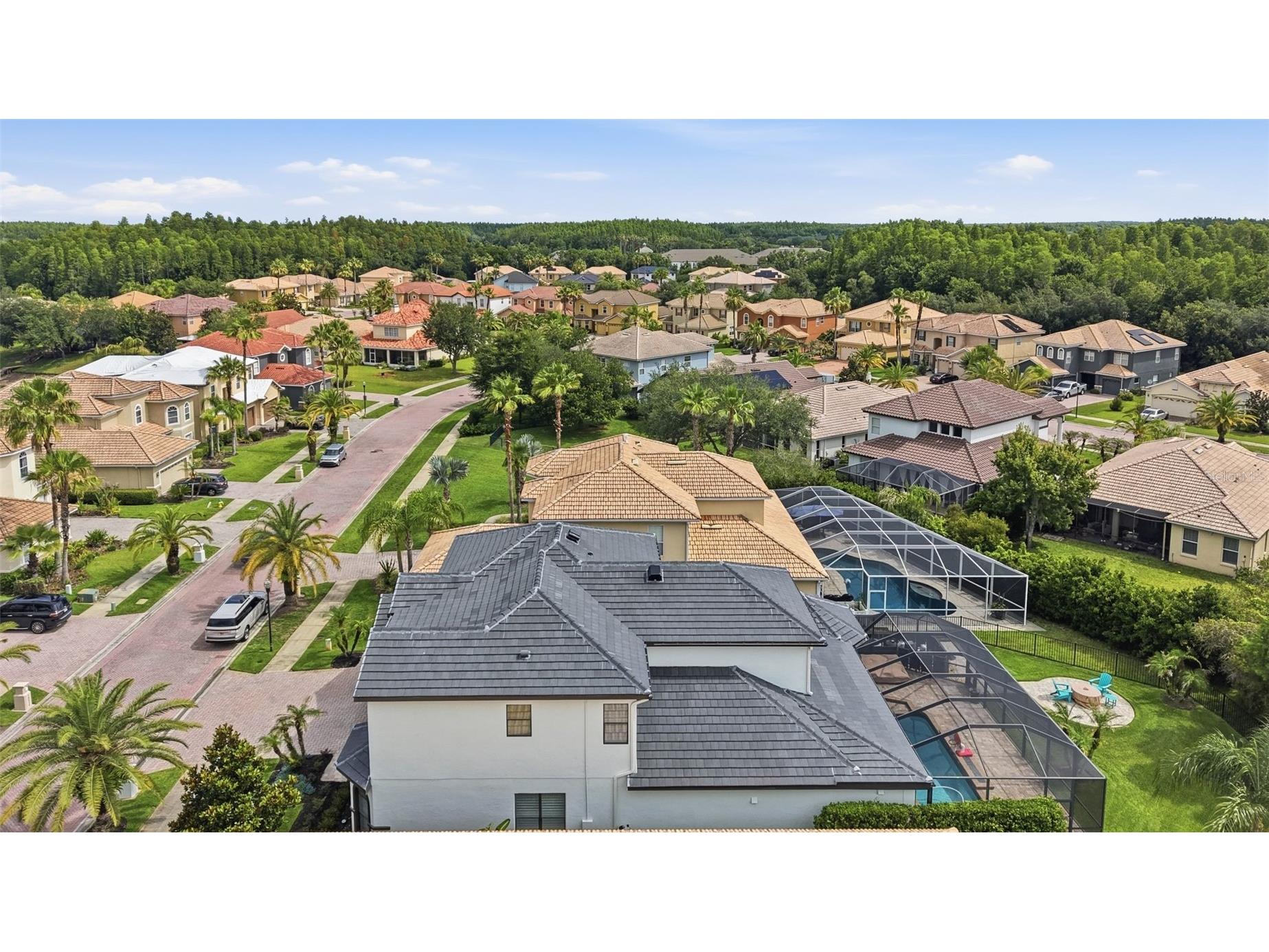 18043 Cozumel Isle Drive Tampa FL 33647 L4962475 image71
