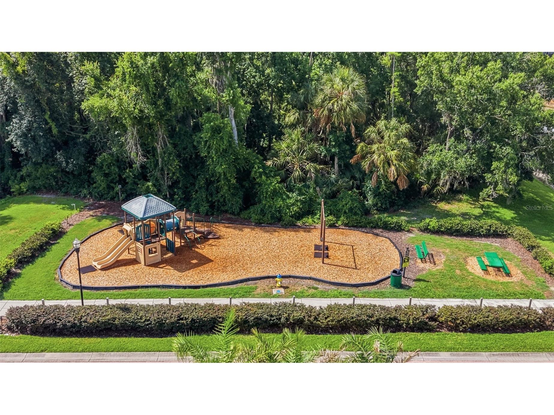 18043 Cozumel Isle Drive Tampa FL 33647 L4962475 image72