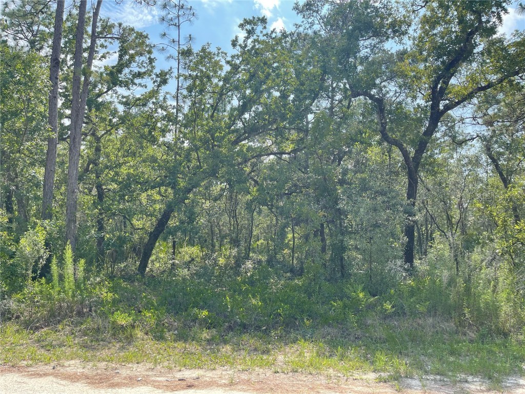 18043 Nighthawk Road Weeki Wachee FL 34614 W7855276 image1