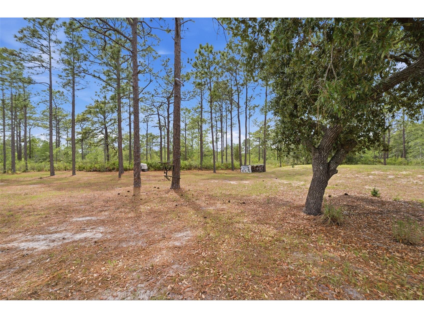 18043 Palmdale Road Weeki Wachee FL 34614 O6406990 image37