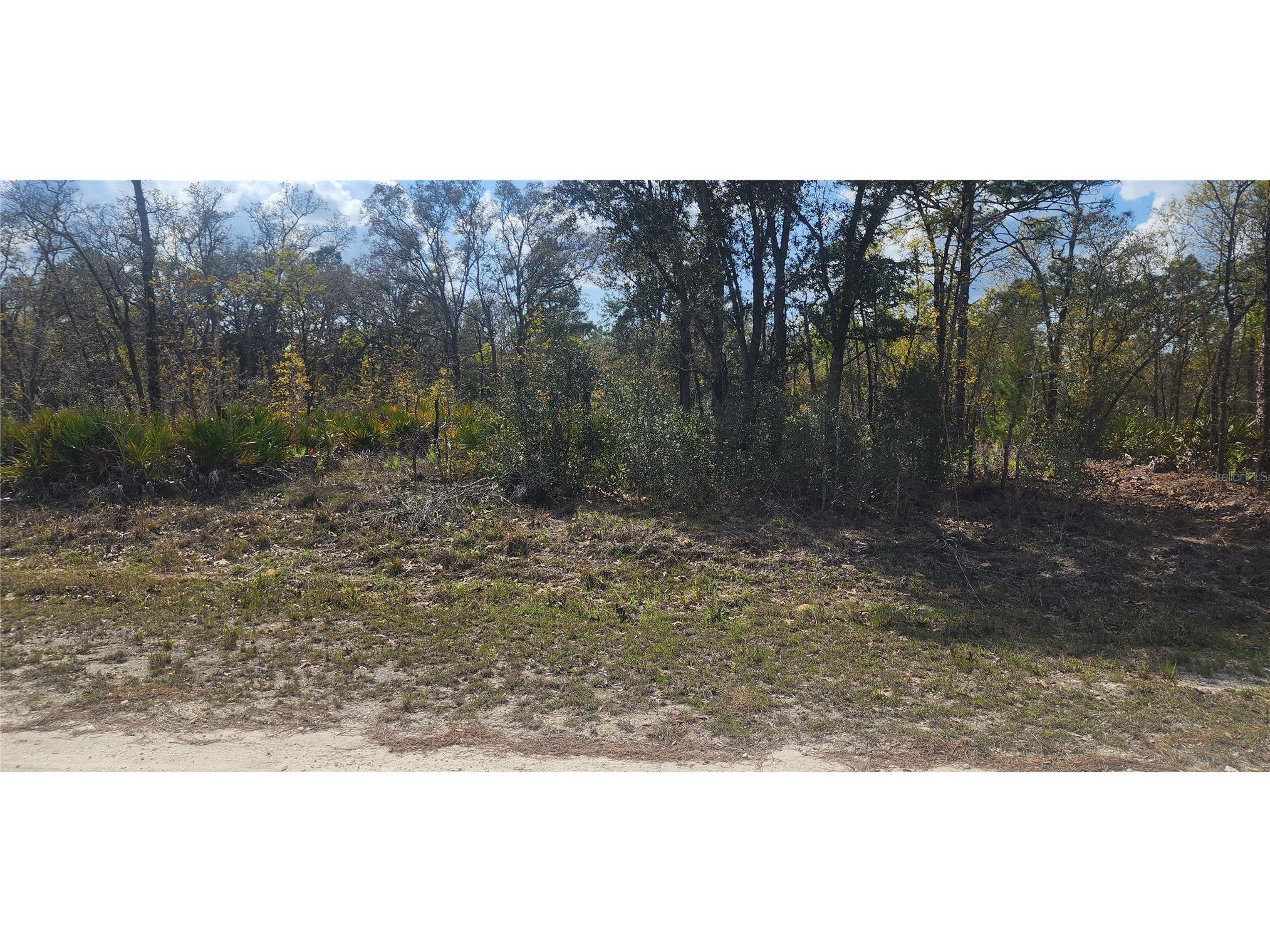 18043 Ramsey Road Weeki Wachee FL 34614 TB8532170 image1