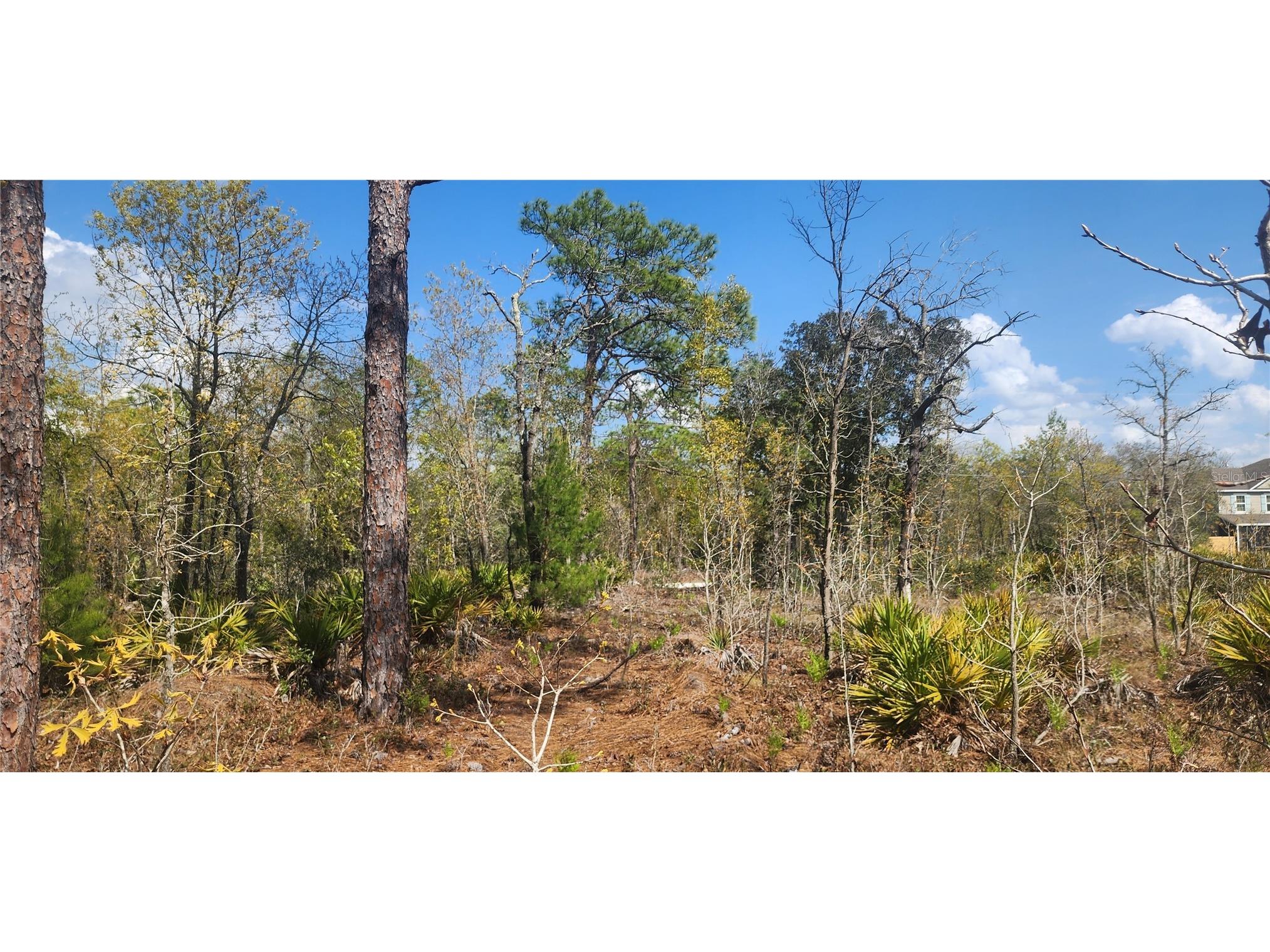 18043 Ramsey Road Weeki Wachee FL 34614 TB8532170 image2