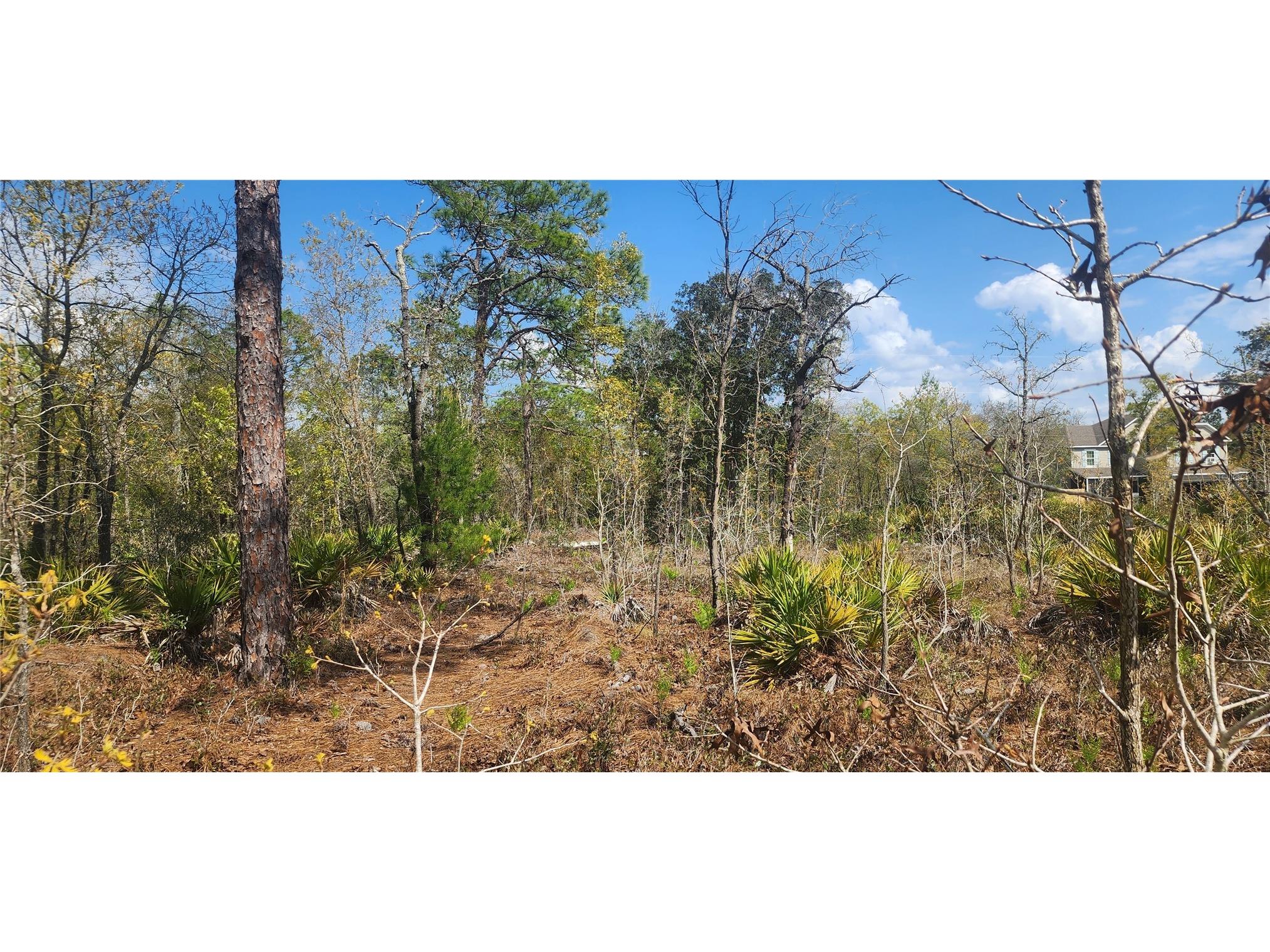 18043 Ramsey Road Weeki Wachee FL 34614 TB8532170 image3