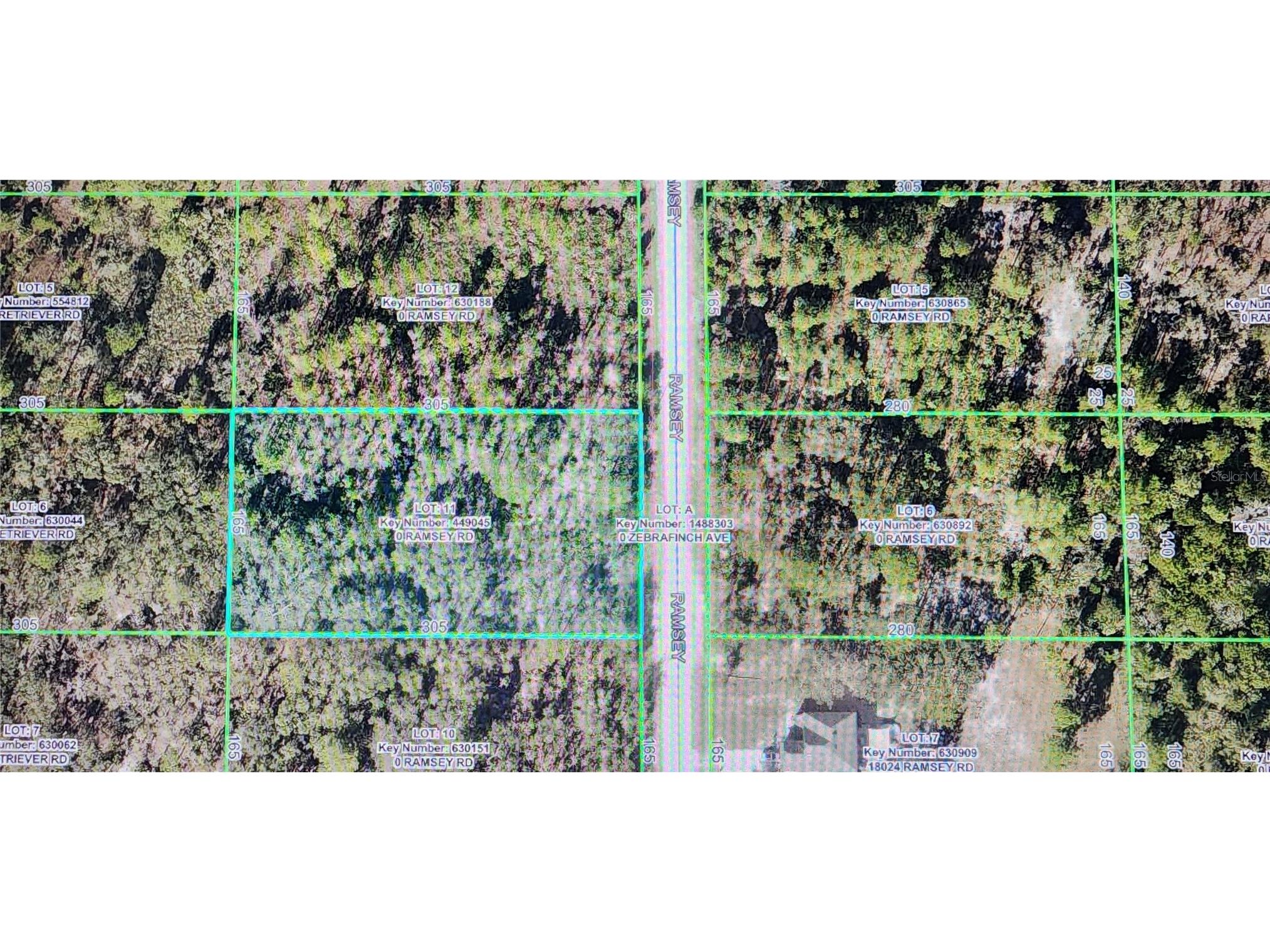 18043 Ramsey Road Weeki Wachee FL 34614 TB8532170 image5