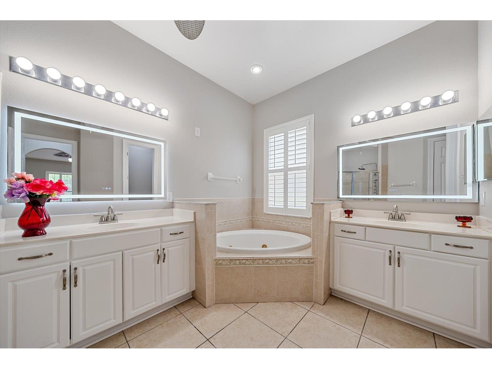 18046 Cozumel Isle Drive Tampa FL 33647 TB8504033 image17