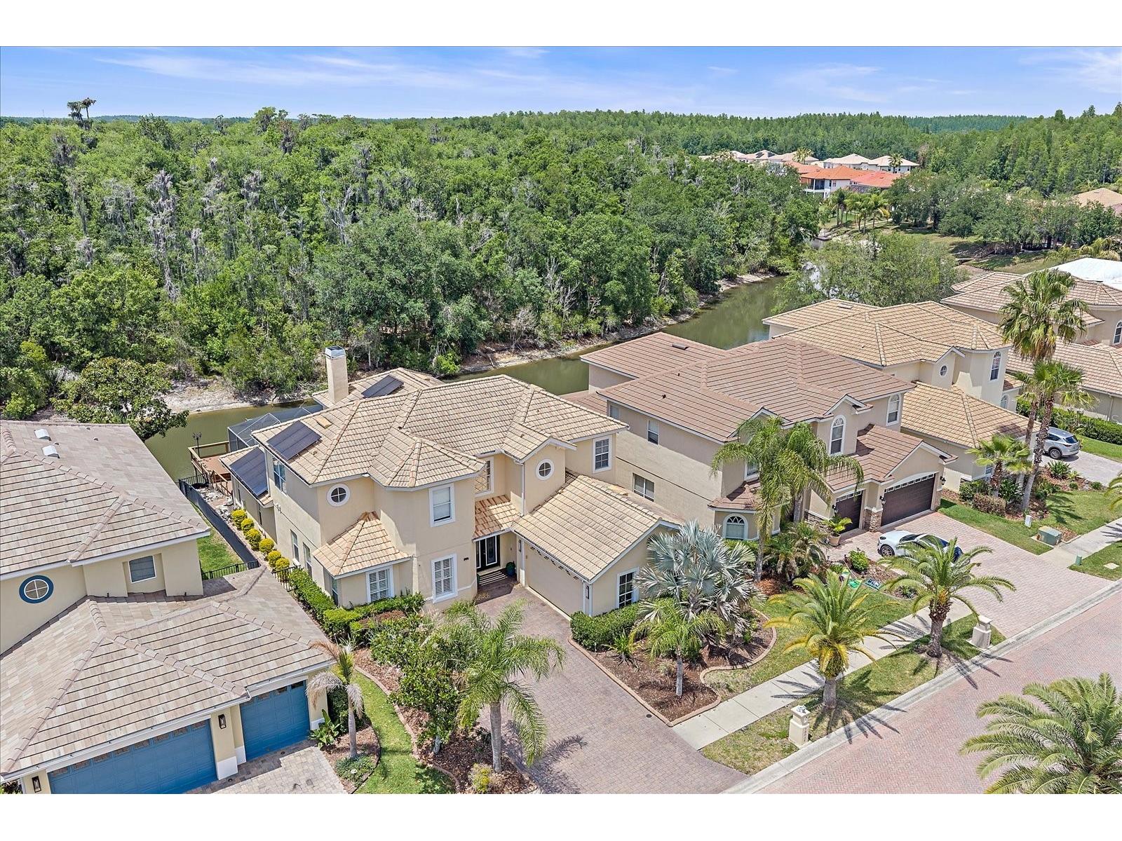 18046 Cozumel Isle Drive Tampa FL 33647 TB8504033 image39