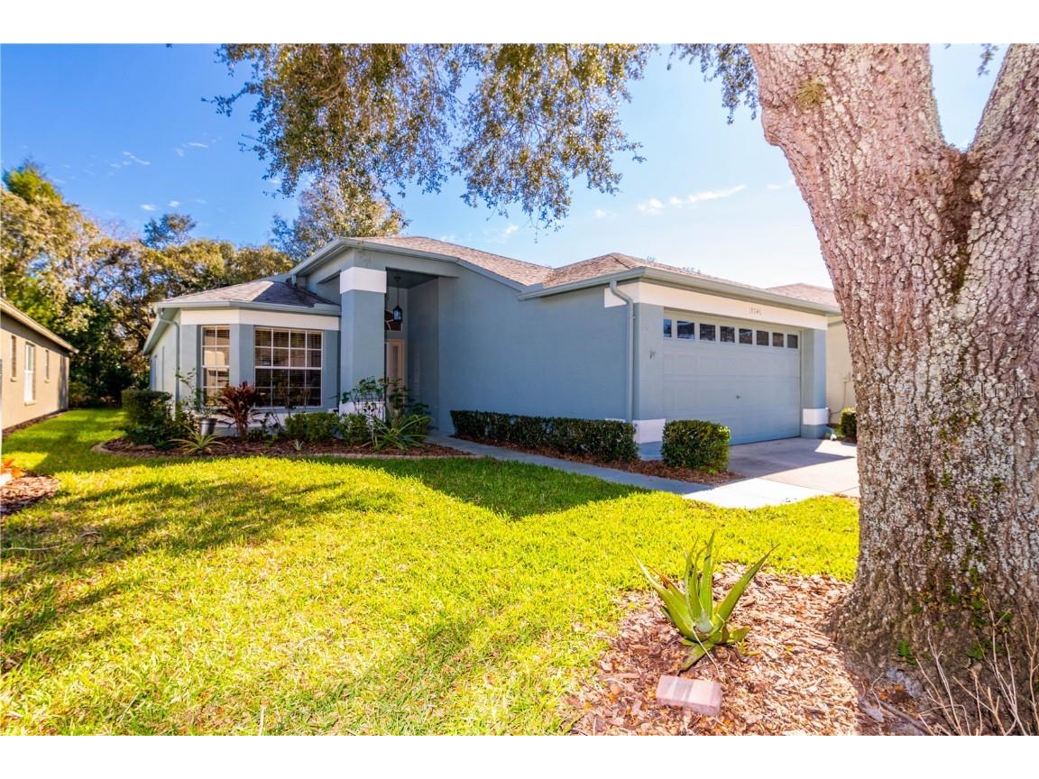 18046 Webster Grove Drive Hudson FL 34667 T3425538 image1