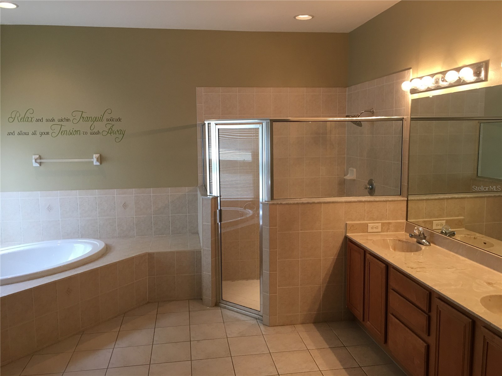 18047 Java Isle Drive Tampa FL 33647 TB8513281 image10