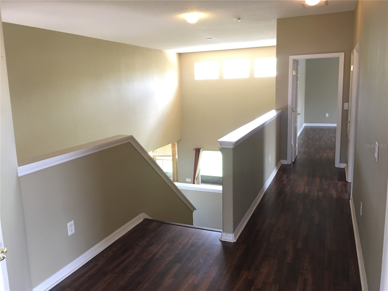 18047 Java Isle Drive Tampa FL 33647 TB8513281 image15