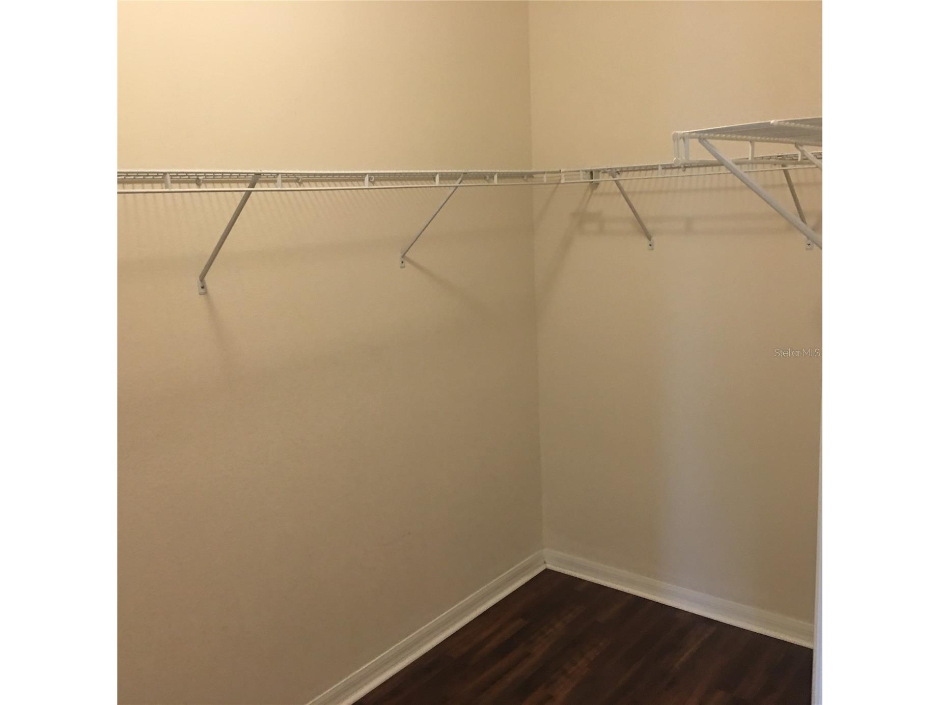 18047 Java Isle Drive Tampa FL 33647 TB8513281 image8