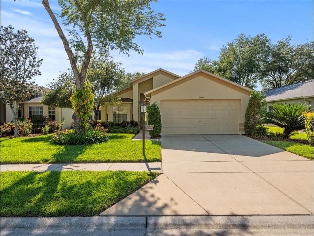 18047 Webster Grove Drive Hudson FL 34667 W7863978 image1