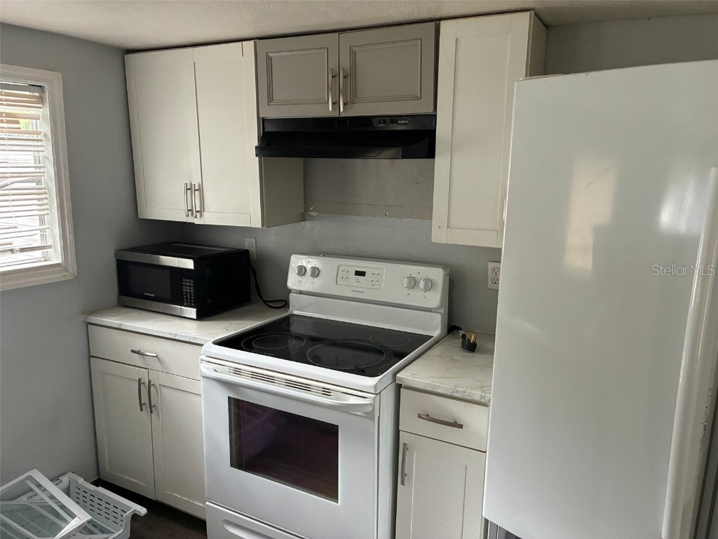 18048 Alt Street Spring Hill FL 34610 TB8429408 image4