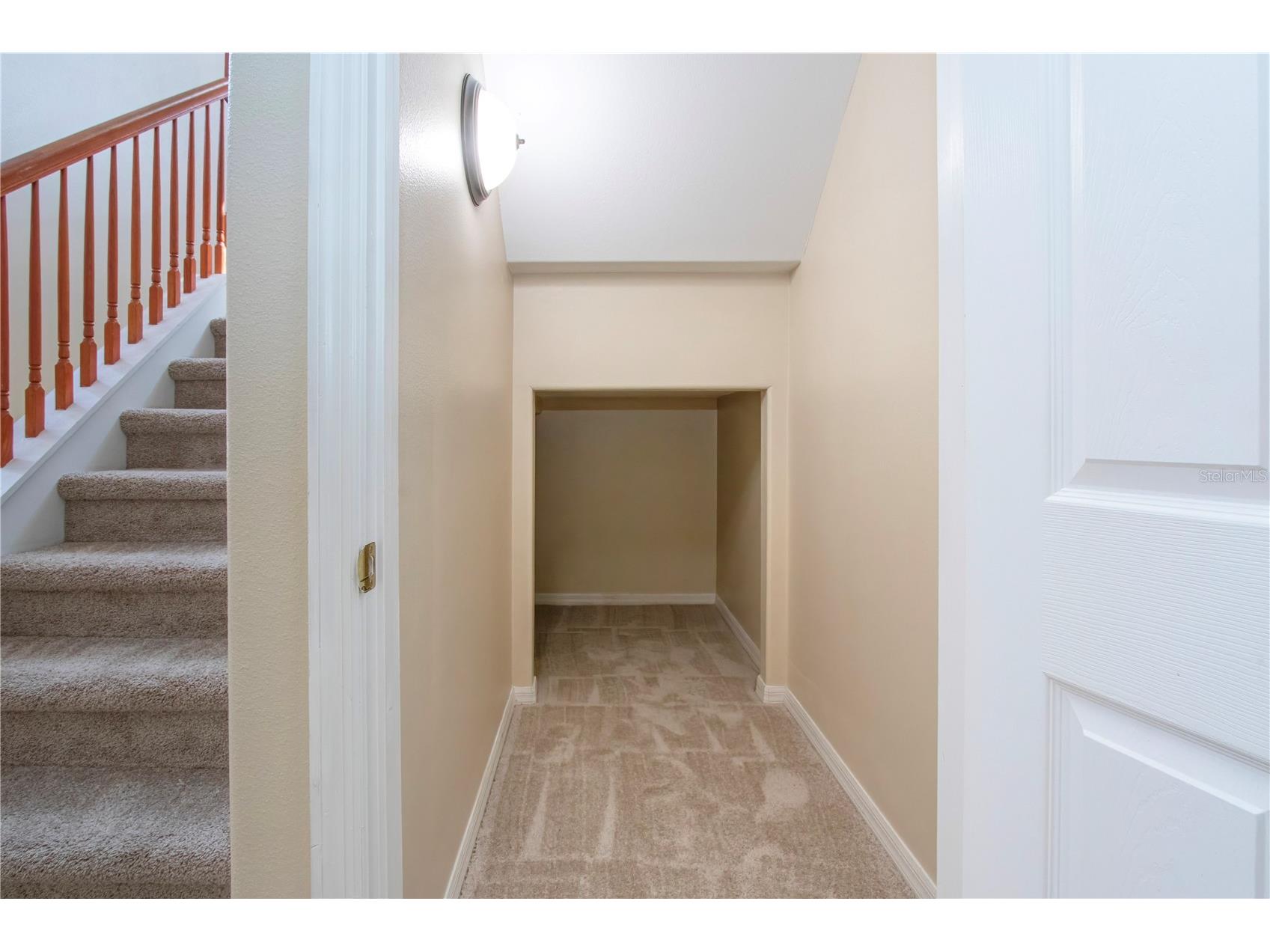 18048 Java Isle Drive Tampa FL 33647 A4684711 image11