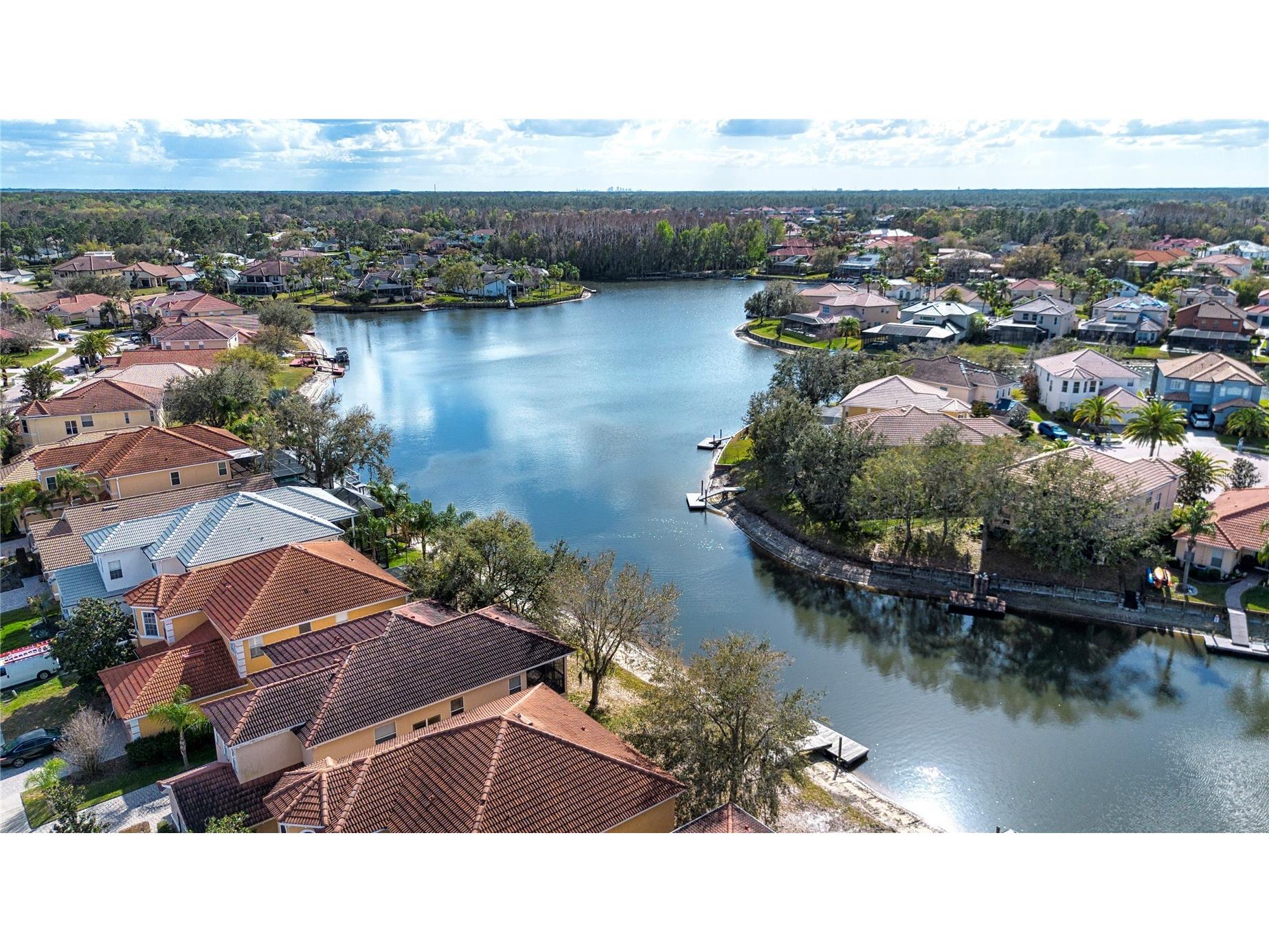 18048 Java Isle Drive Tampa FL 33647 A4684711 image3