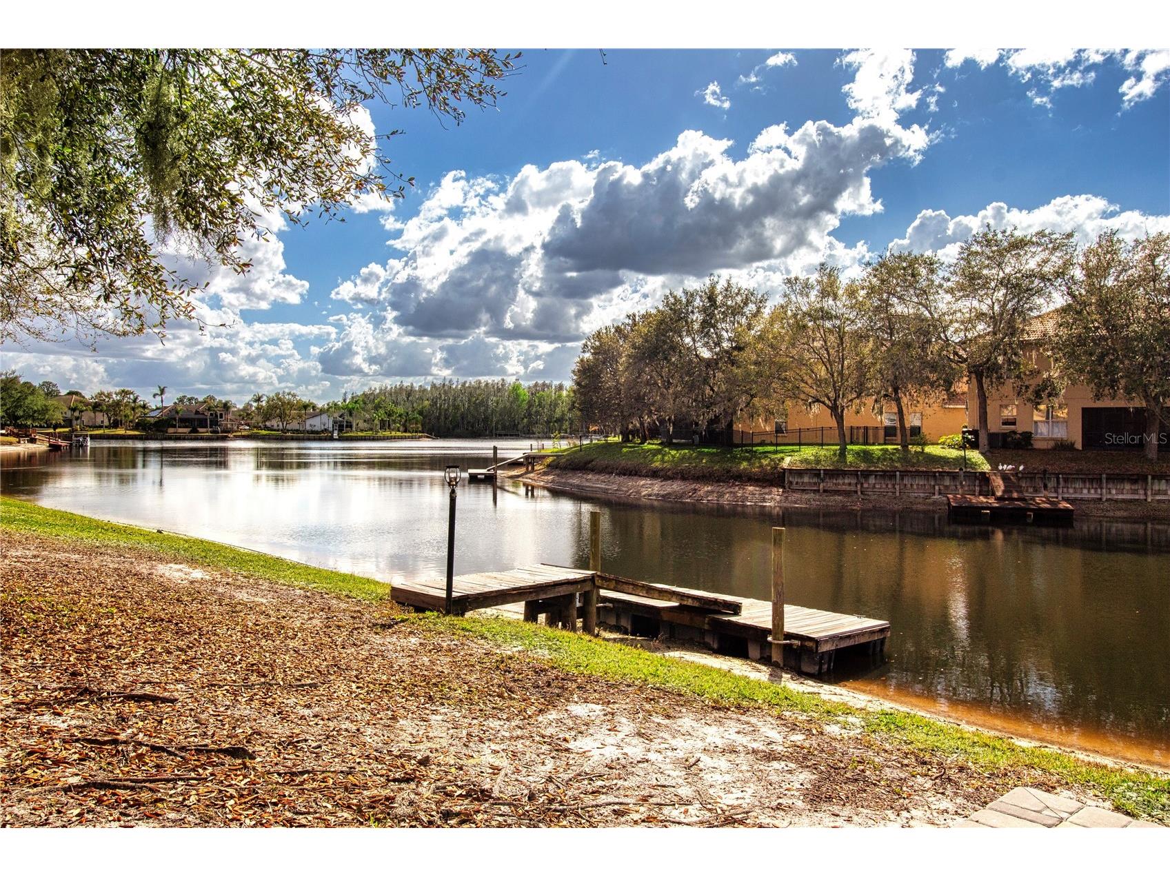 18048 Java Isle Drive Tampa FL 33647 A4684711 image4