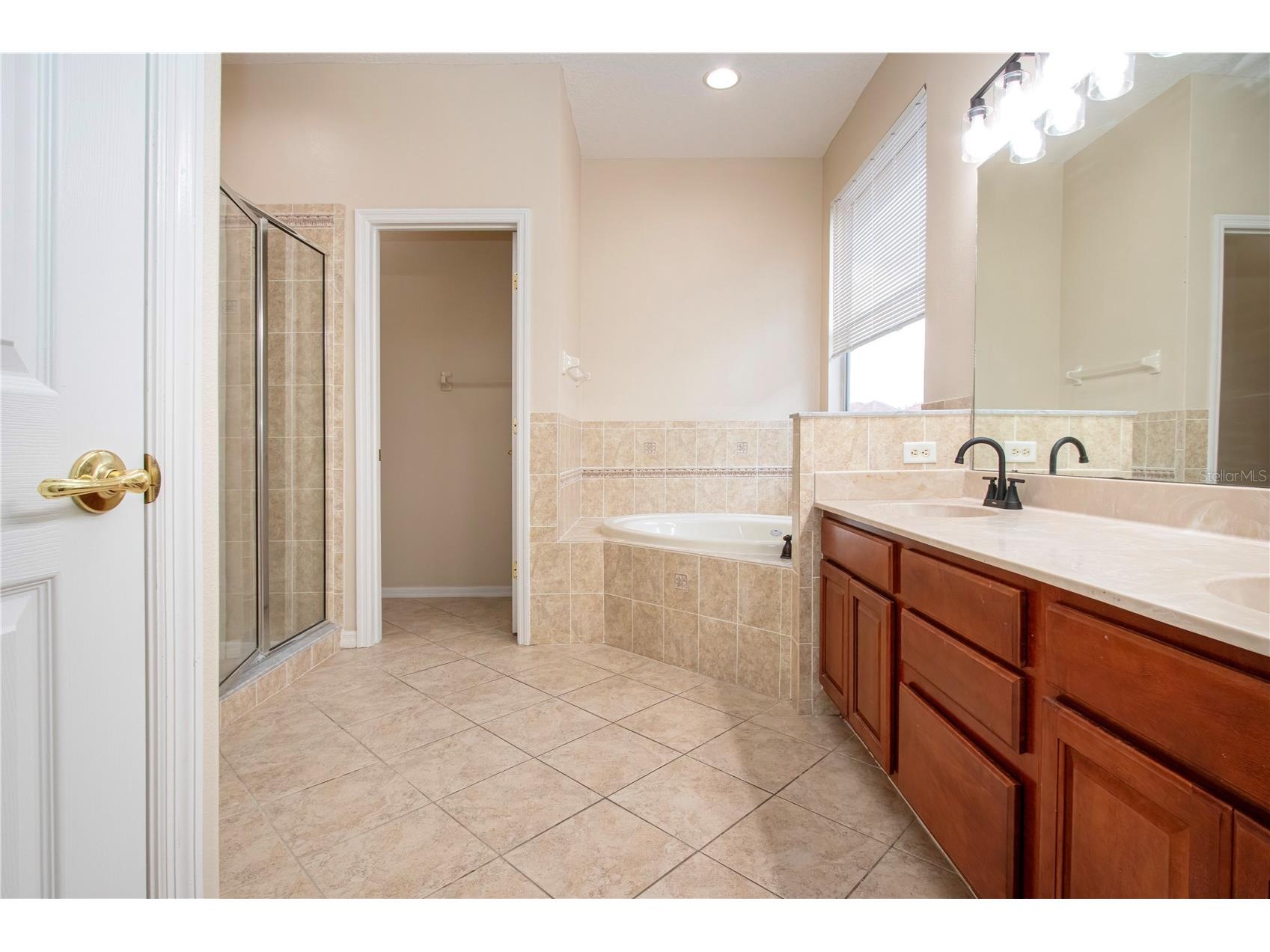 18048 Java Isle Drive Tampa FL 33647 A4684711 image41