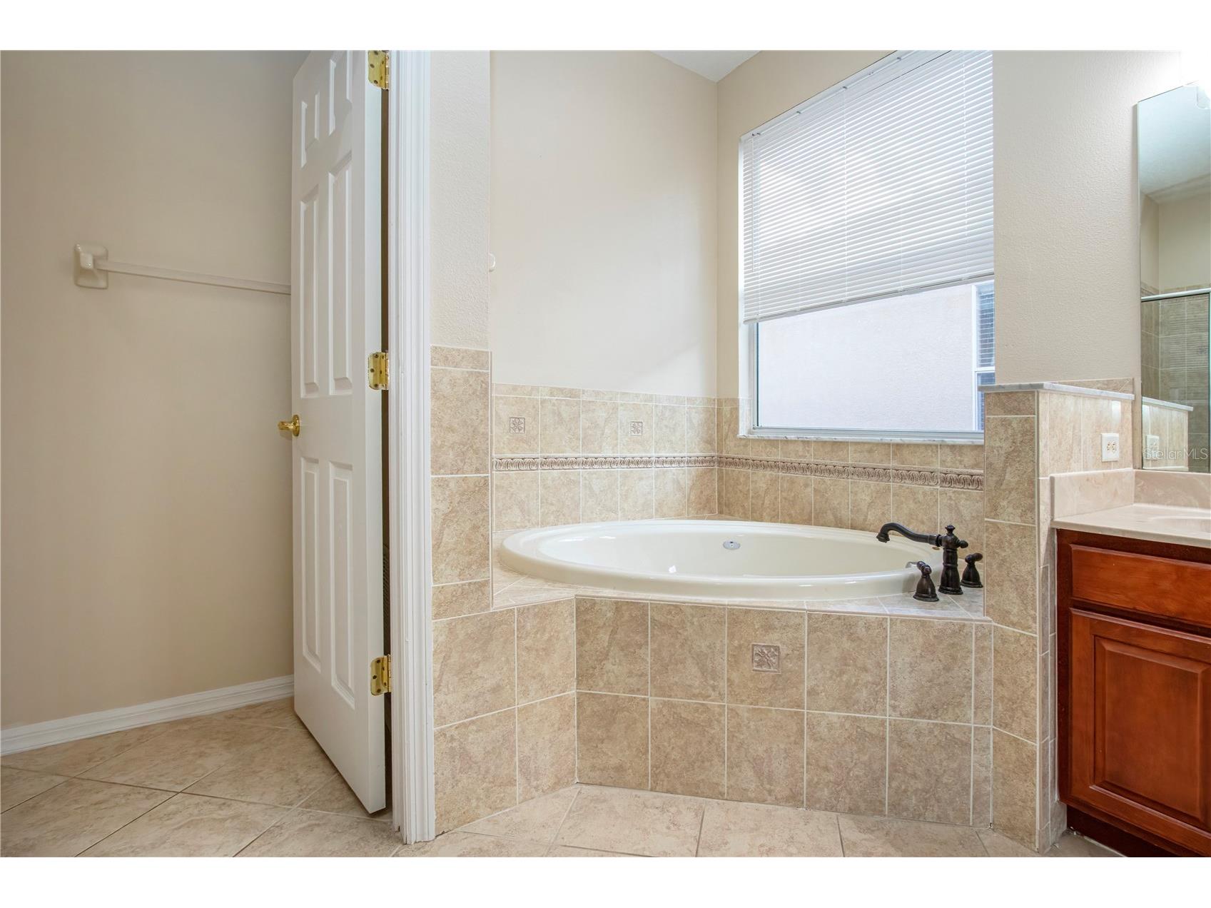 18048 Java Isle Drive Tampa FL 33647 A4684711 image43