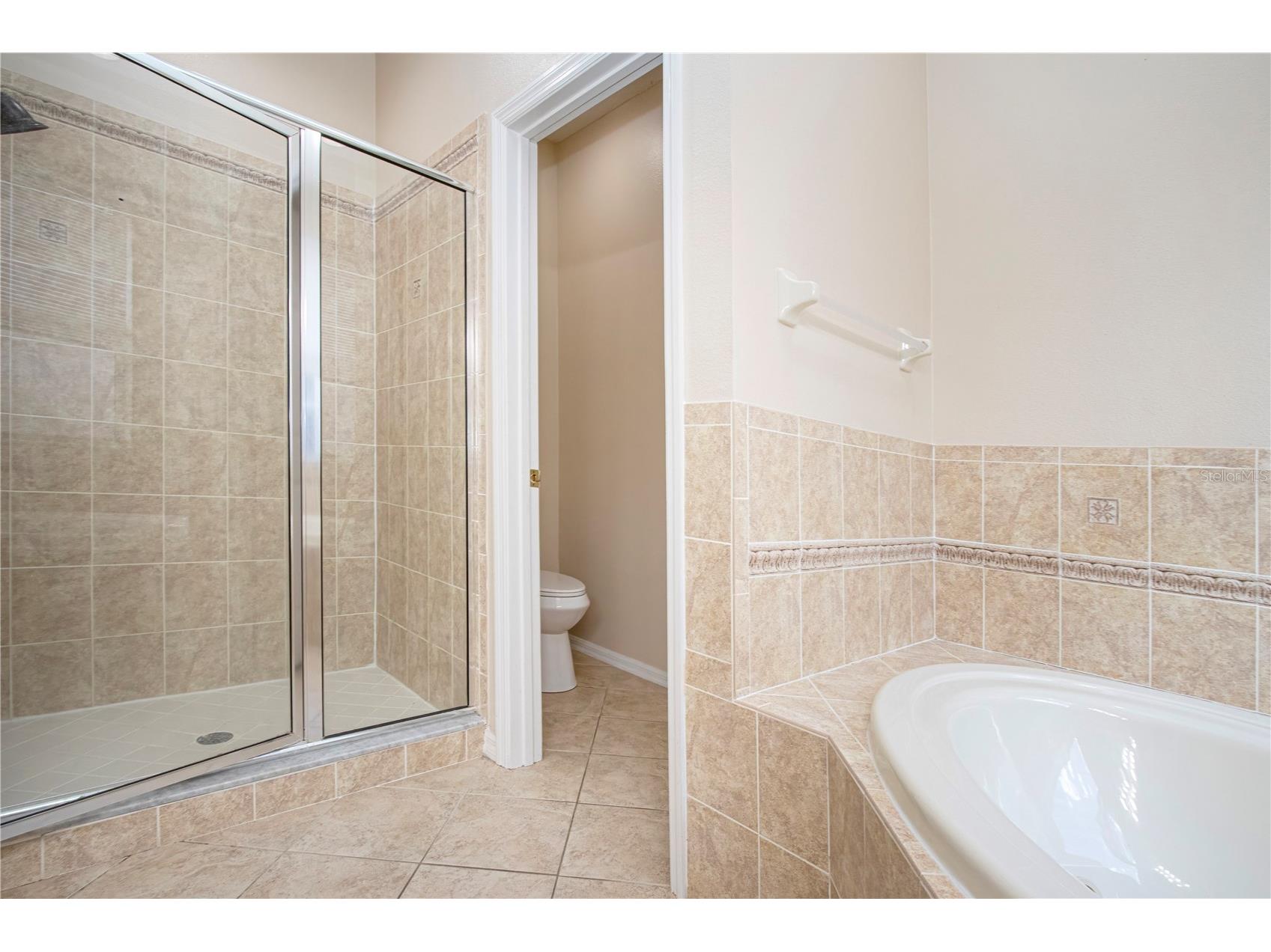 18048 Java Isle Drive Tampa FL 33647 A4684711 image44