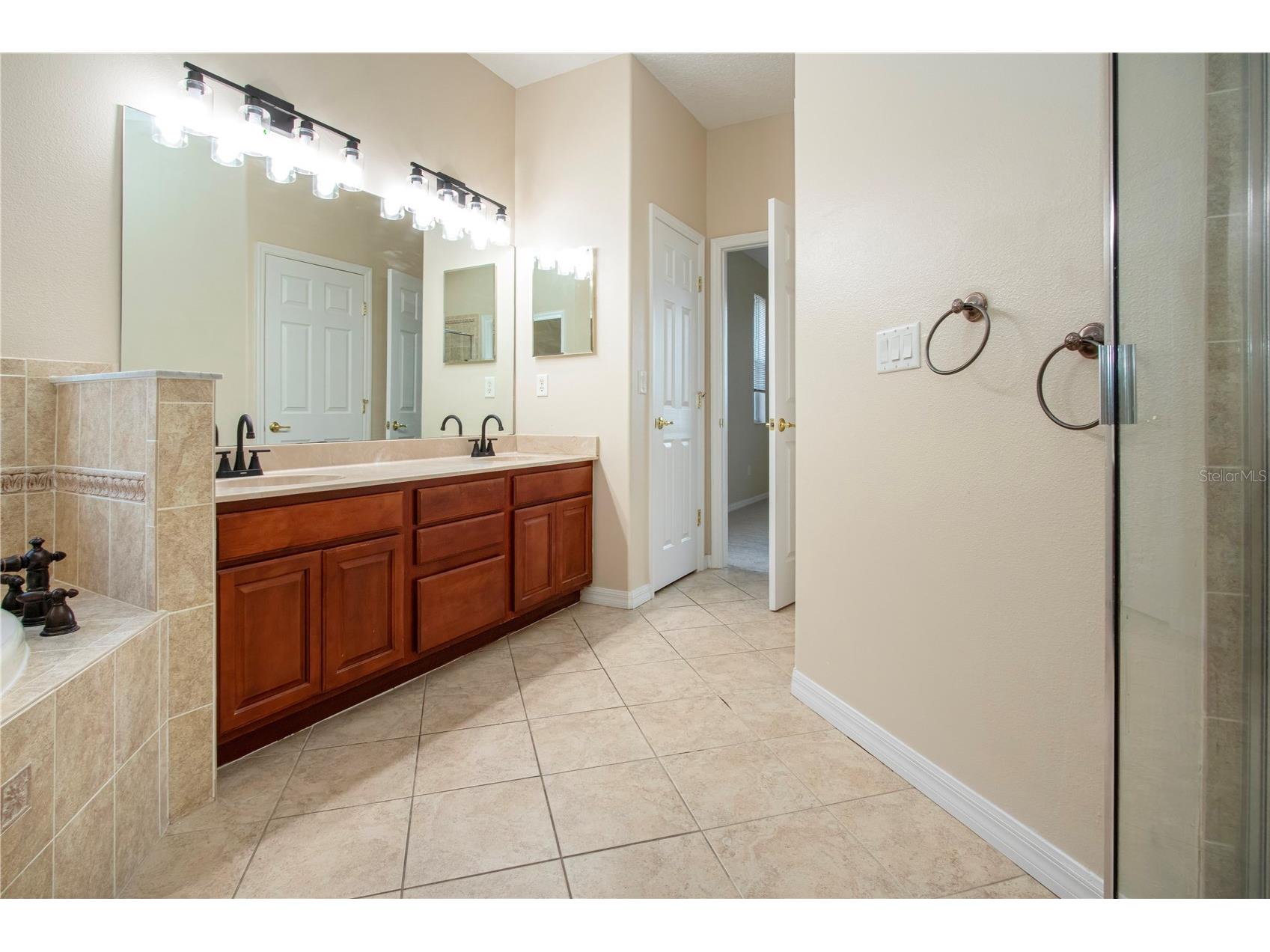 18048 Java Isle Drive Tampa FL 33647 A4684711 image45