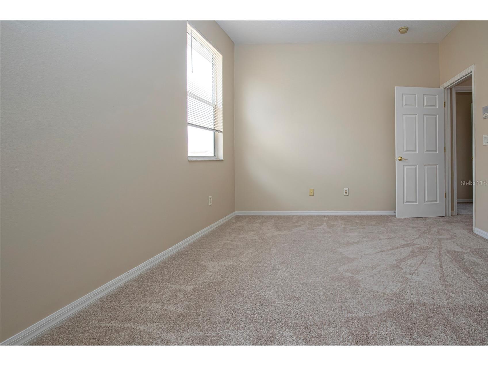18048 Java Isle Drive Tampa FL 33647 A4684711 image52