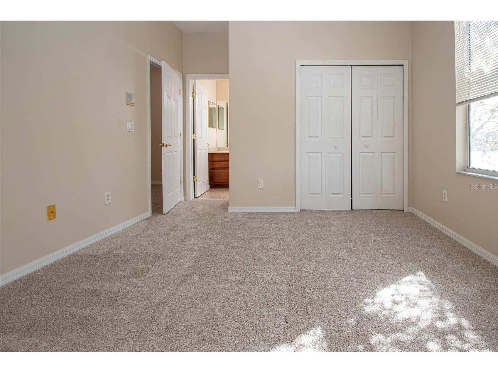 18048 Java Isle Drive Tampa FL 33647 A4684711 image56