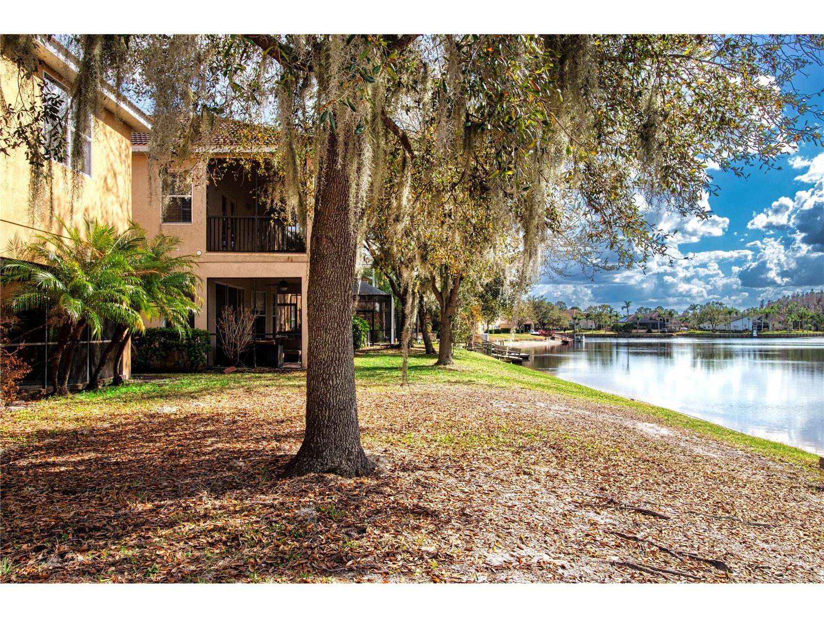 18048 Java Isle Drive Tampa FL 33647 A4684711 image62