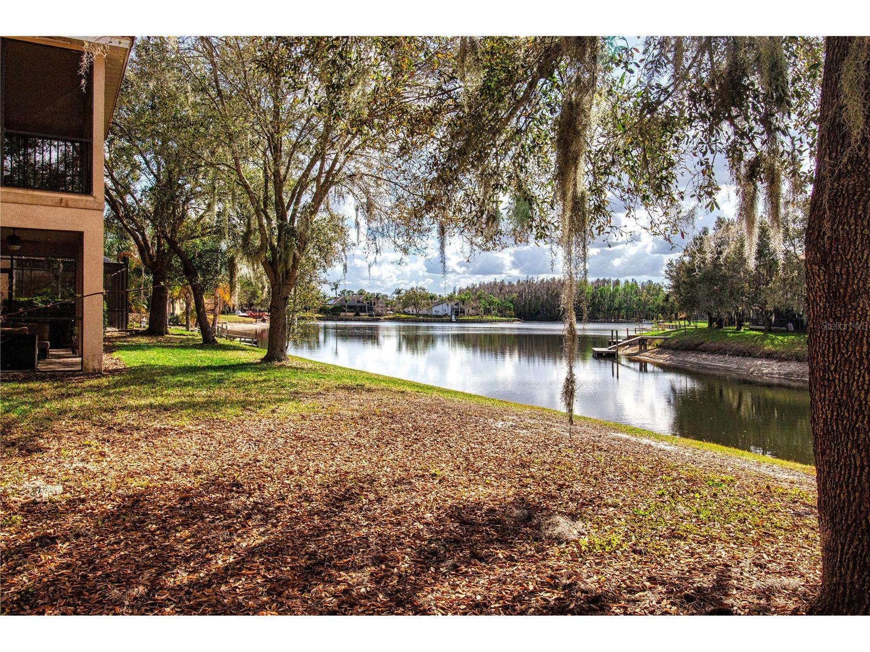 18048 Java Isle Drive Tampa FL 33647 A4684711 image63