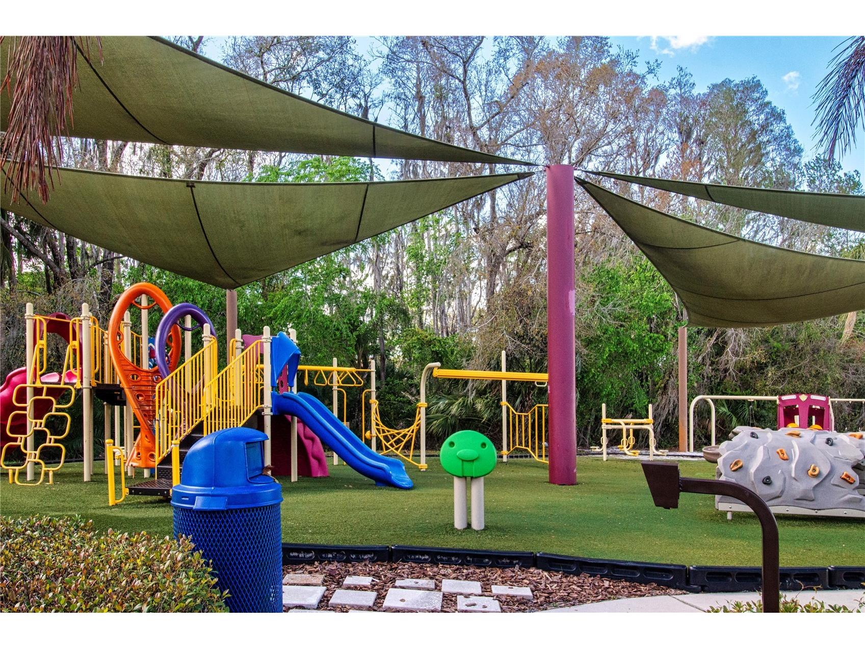 18048 Java Isle Drive Tampa FL 33647 A4684711 image73