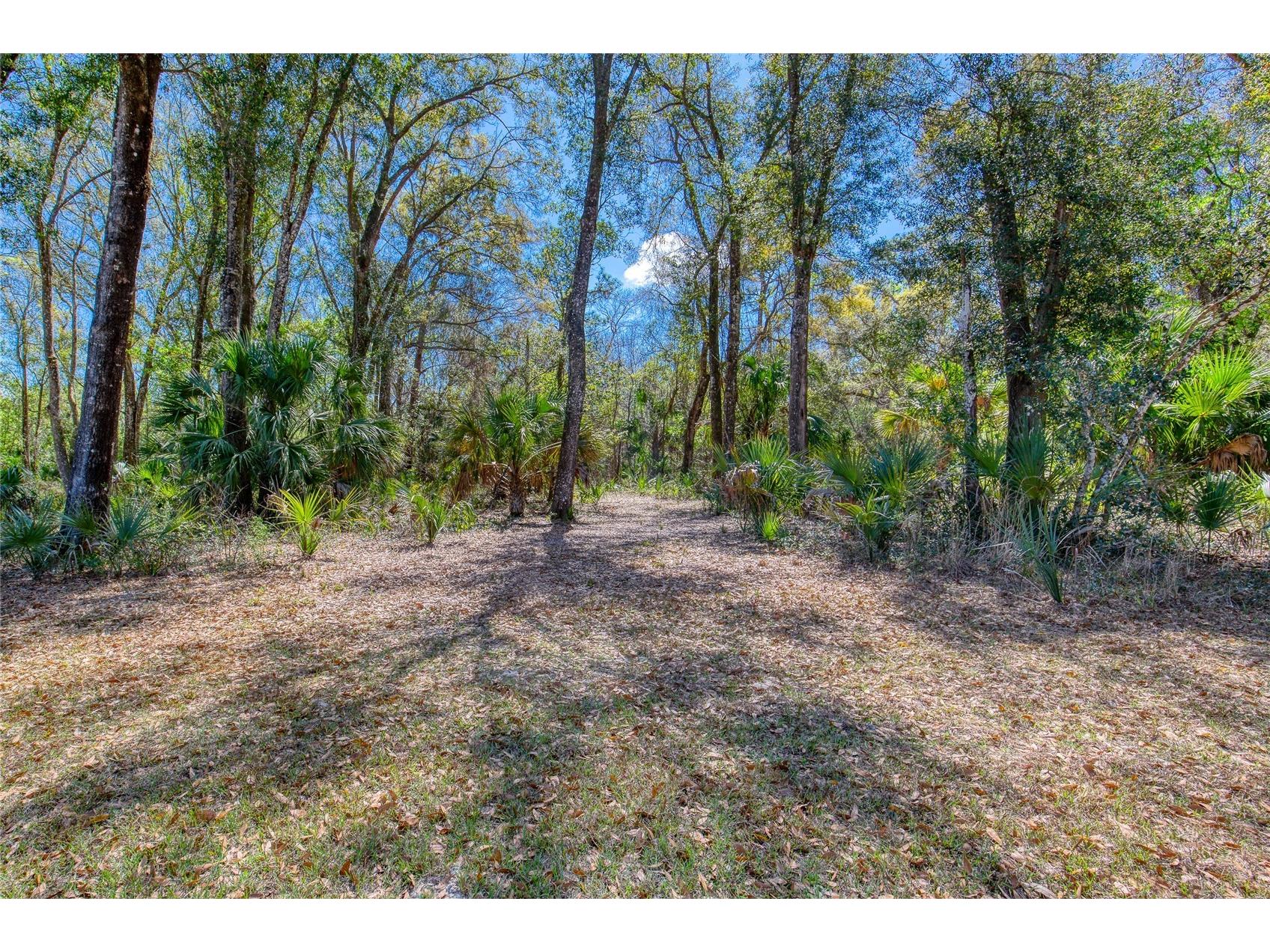 1805 Adrian Creek Boulevard Port Orange FL 32128 - Spruce Creek V4948137 image6