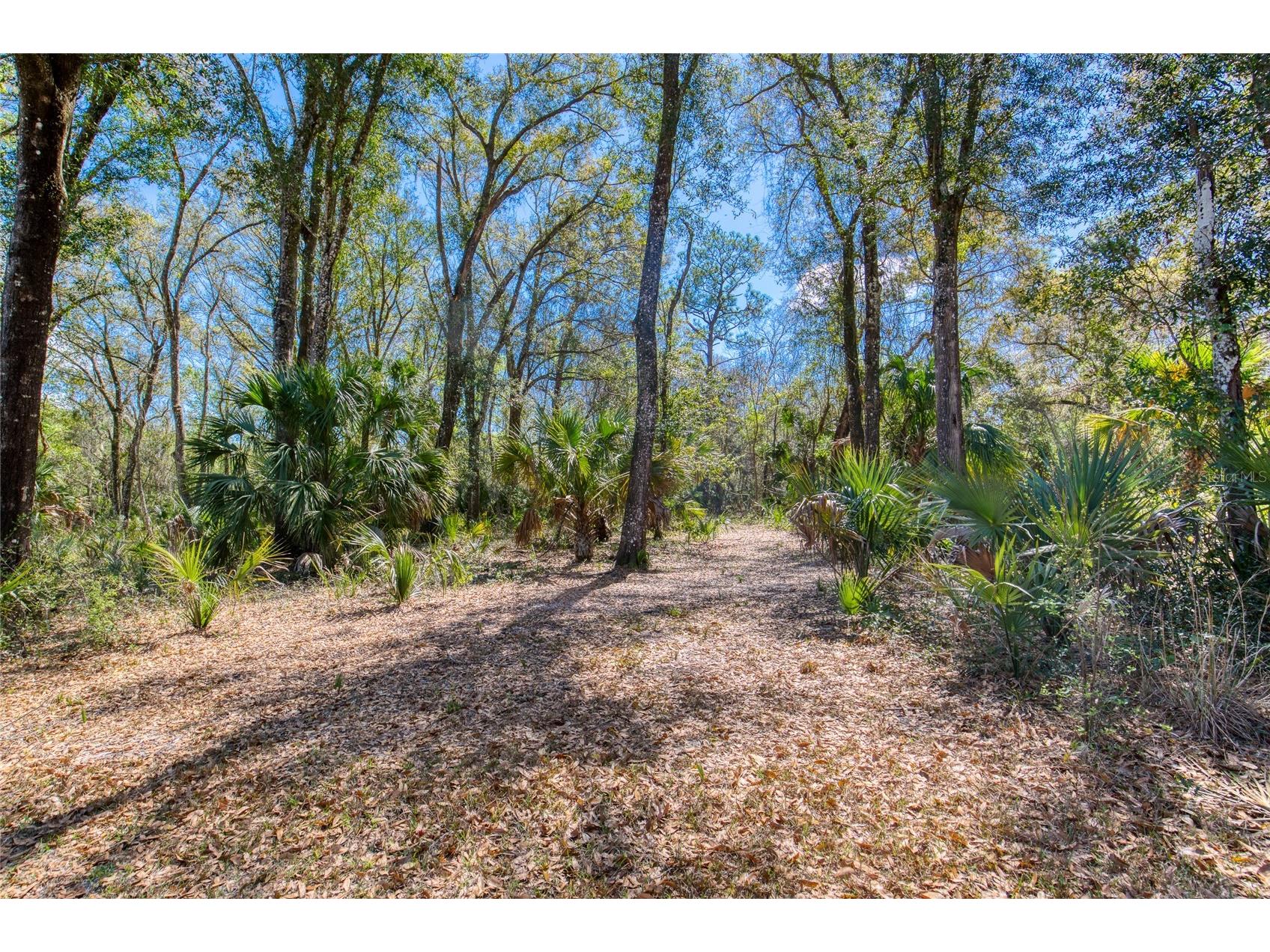 1805 Adrian Creek Boulevard Port Orange FL 32128 - Spruce Creek V4948137 image7