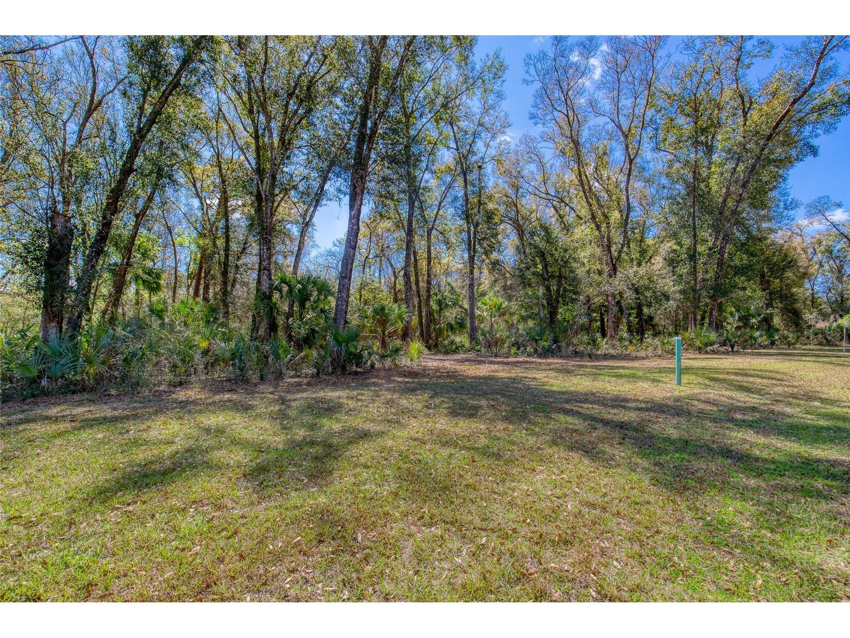 1805 Adrian Creek Boulevard Port Orange FL 32128 - Spruce Creek V4948137 image8