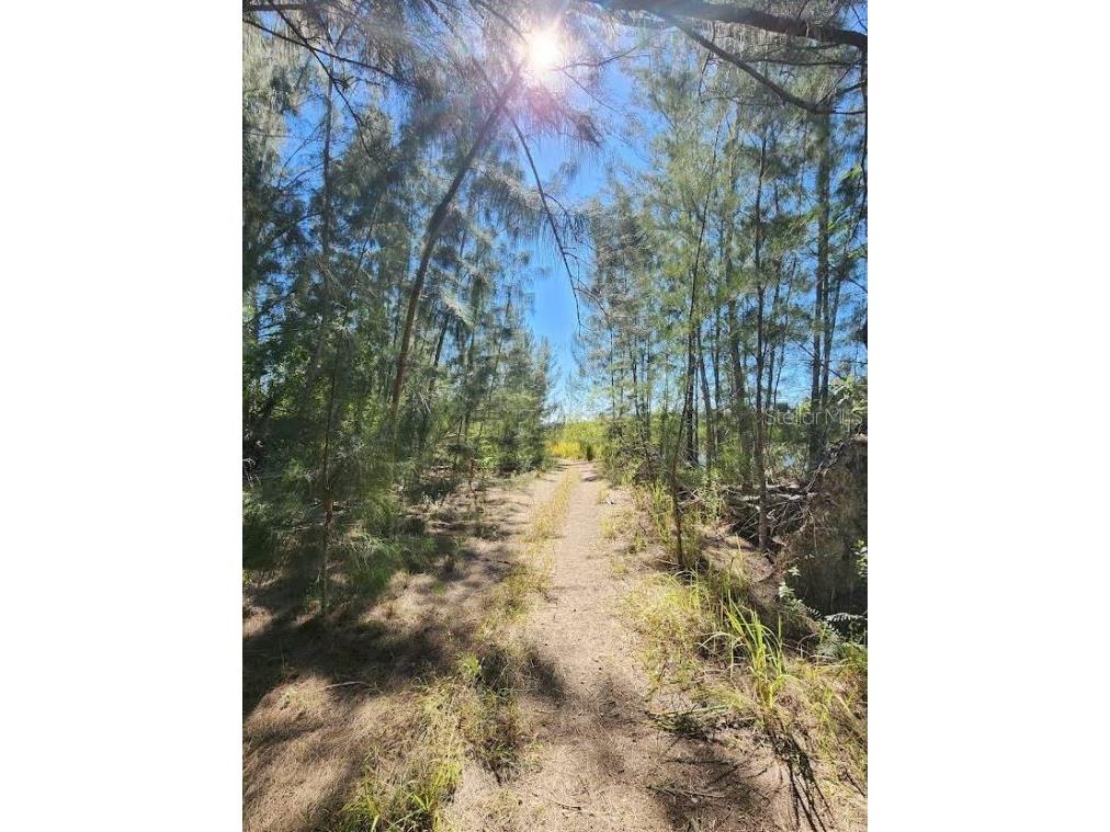 1805 Jefferson Avenue Lehigh Acres FL 33972 A4676807 image8