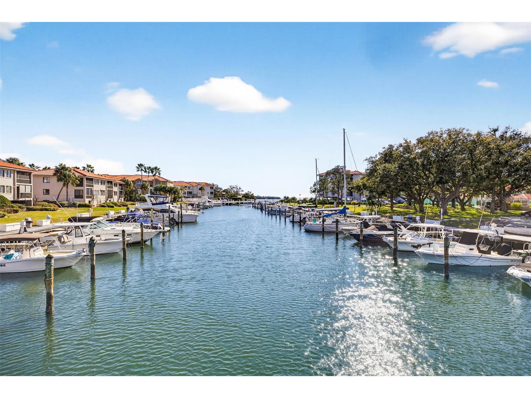 1805 Mariner Drive #52 Tarpon Springs FL 34689 TB8481878 image21