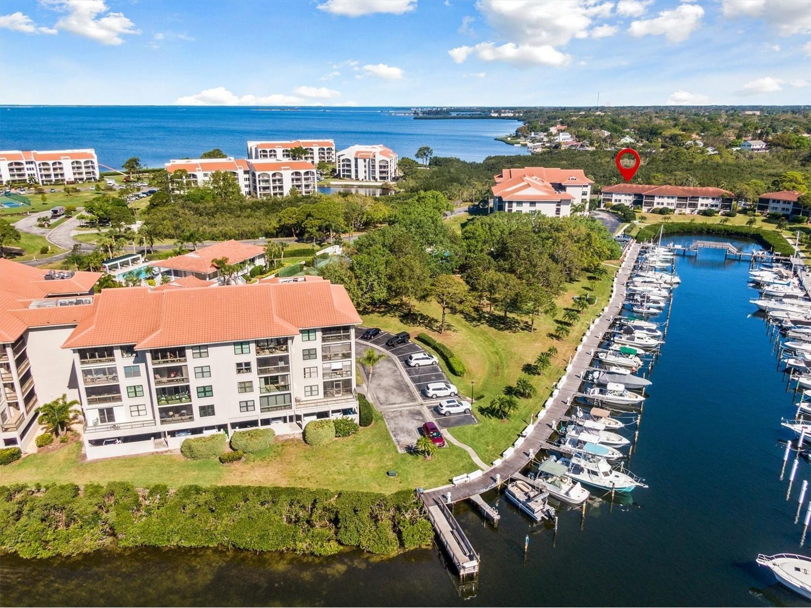 1805 Mariner Drive #55 Tarpon Springs FL 34689 - GULF OF AMERICA TB8490274 image36