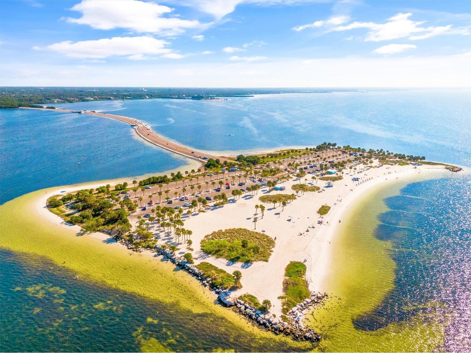 1805 Mariner Drive #55 Tarpon Springs FL 34689 - GULF OF AMERICA TB8490274 image58