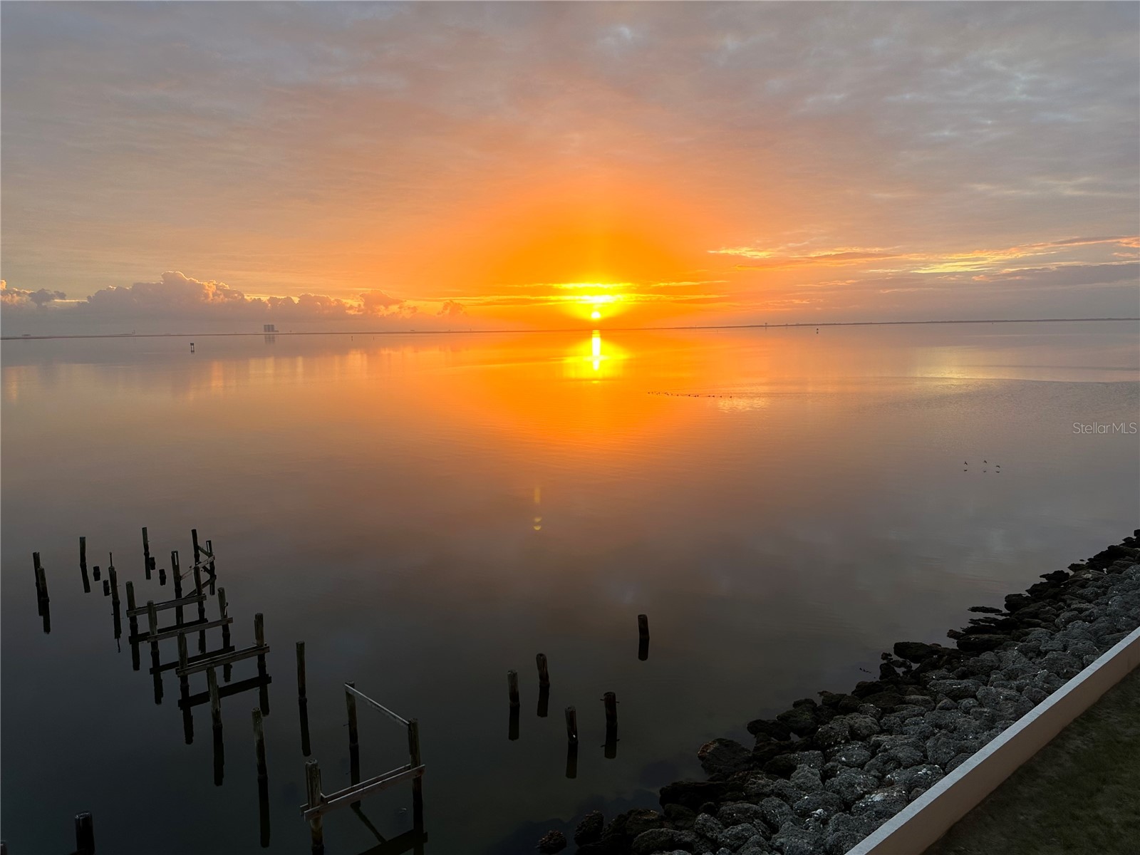 1805 Riverside Drive #302 Titusville FL 32780 - INDIAN RIVER TB8486630 image3