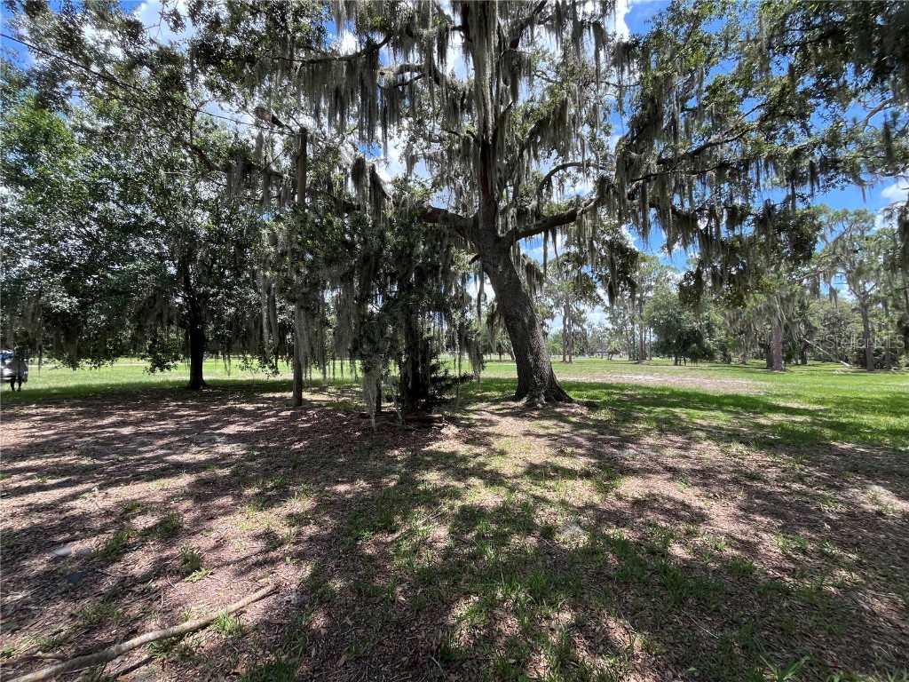 1805 S Lake Reedy Blvd Frostproof FL 33843 - LAKE REEDY P4935165 image41