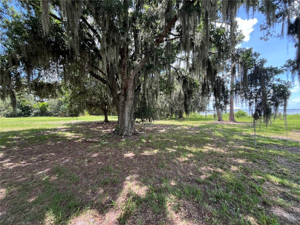 1805 S Lake Reedy Blvd Frostproof FL 33843 - LAKE REEDY P4935165 image46