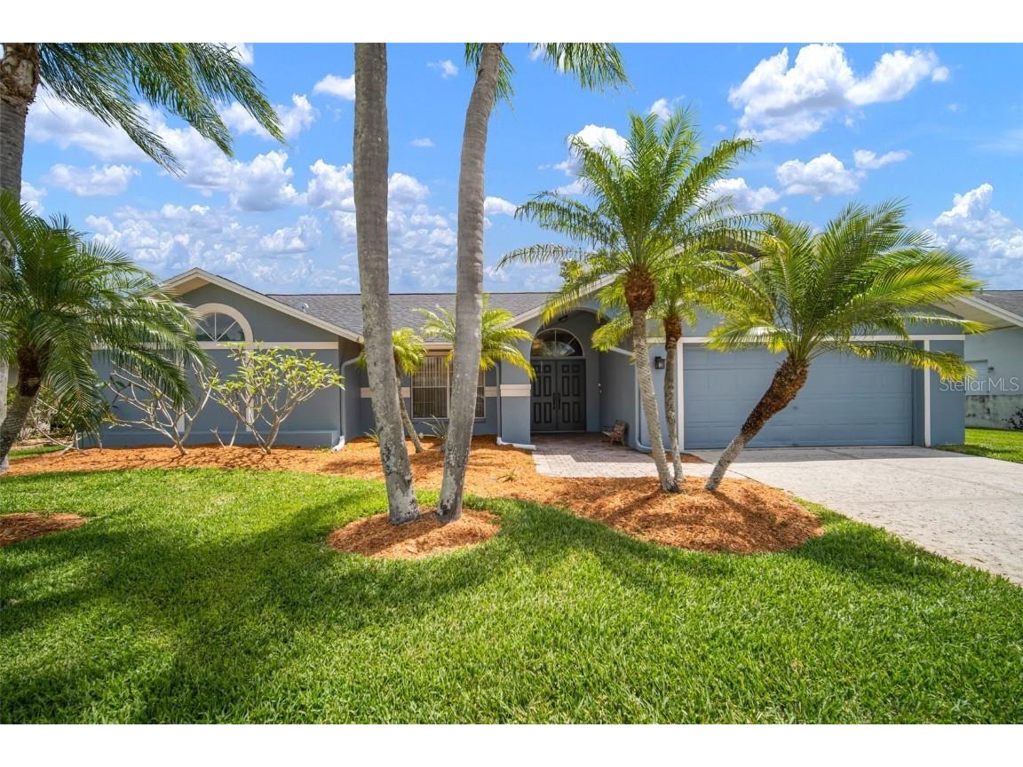 1805 Stable Trail Palm Harbor FL 34685 TB8376739 image1