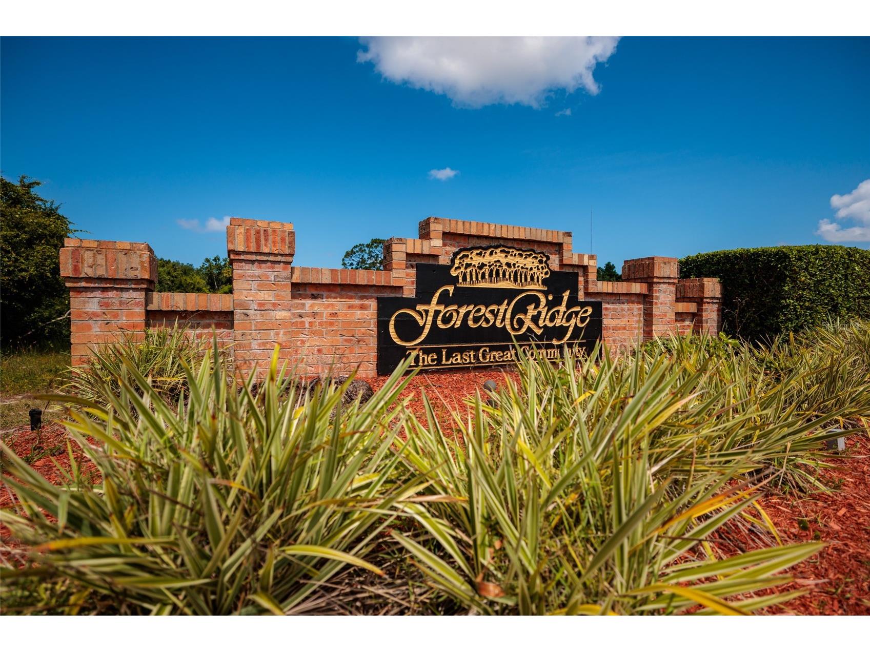 1805 Wood Bend Street Tarpon Springs FL 34689 TB8517677 image1