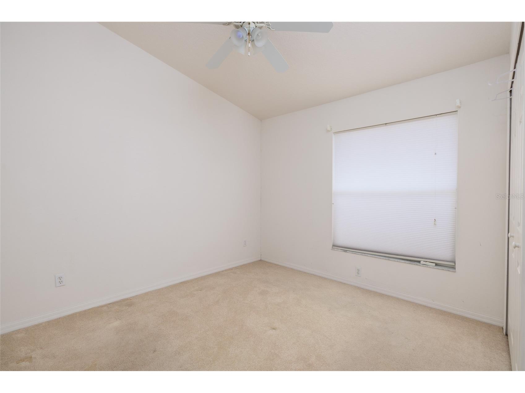 1805 Wood Bend Street Tarpon Springs FL 34689 TB8517677 image34