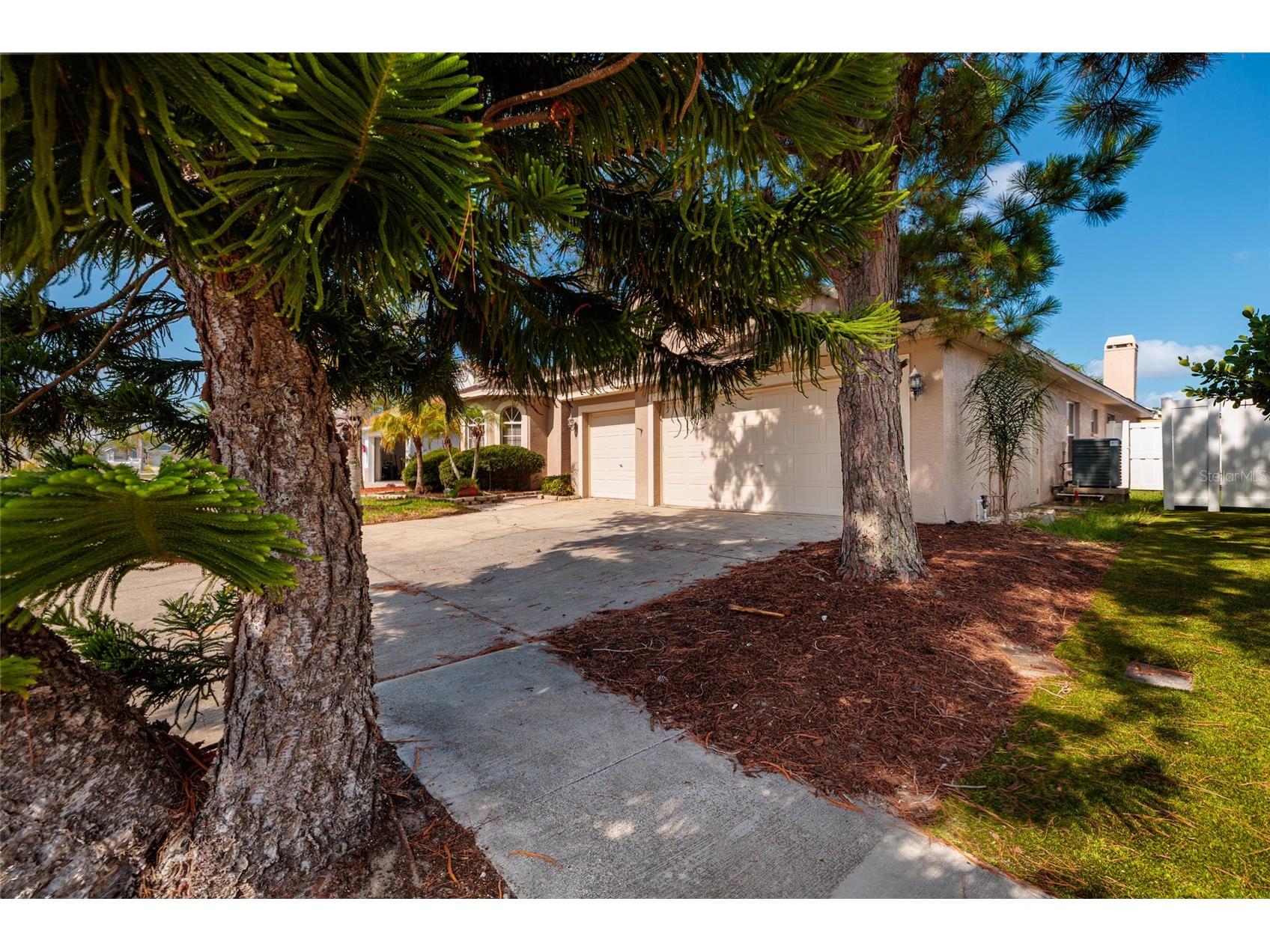 1805 Wood Bend Street Tarpon Springs FL 34689 TB8517677 image35