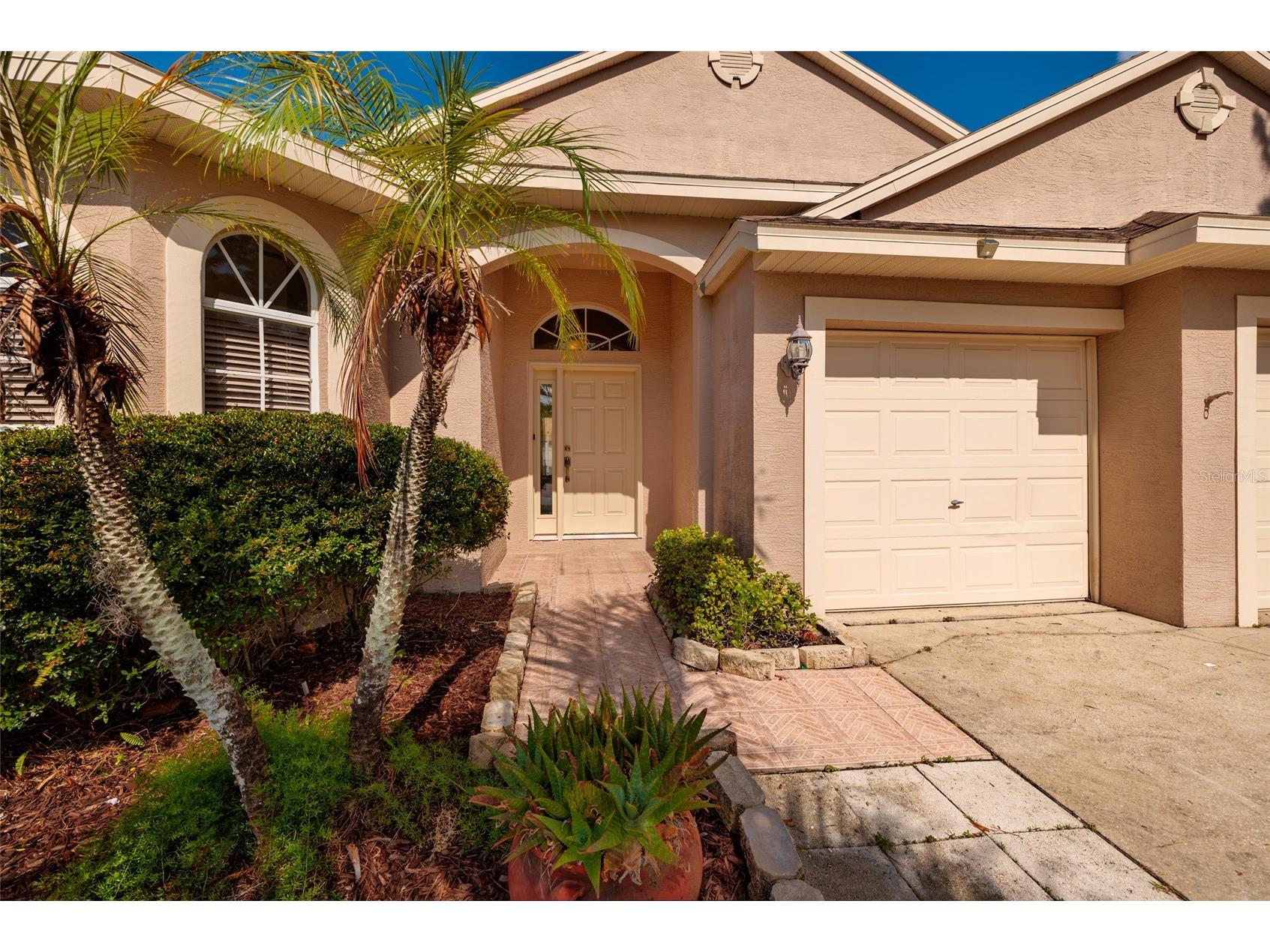 1805 Wood Bend Street Tarpon Springs FL 34689 TB8517677 image6