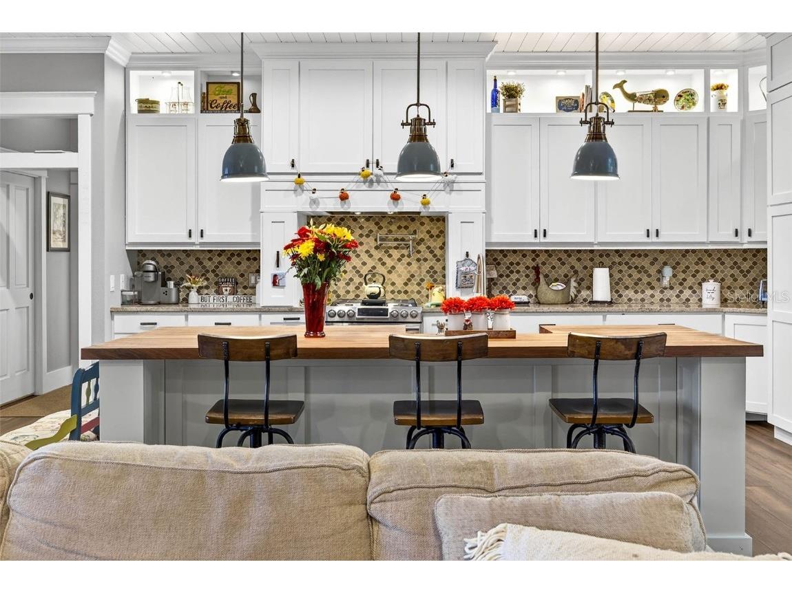 18051 Hancock Bluff Road Dade City FL 33523 - Hancock Lake TB8452355 image25