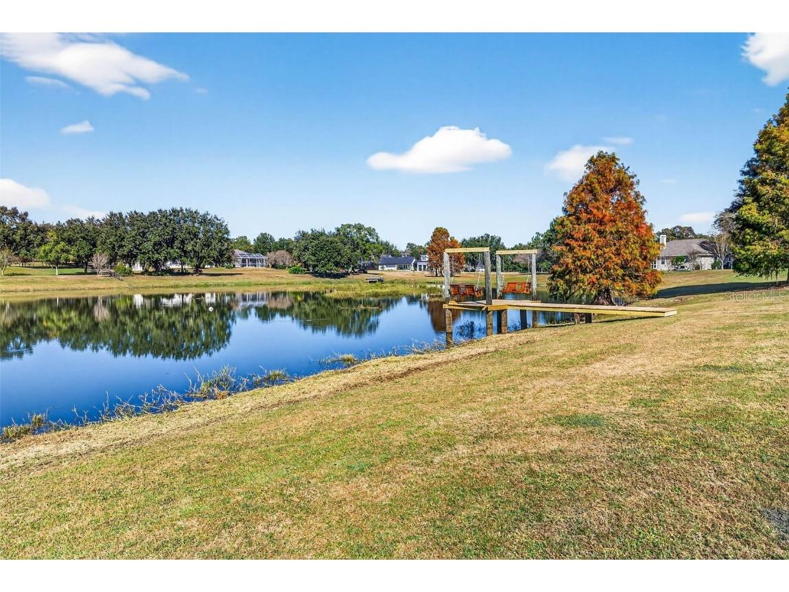 18051 Hancock Bluff Road Dade City FL 33523 - Hancock Lake TB8452355 image85