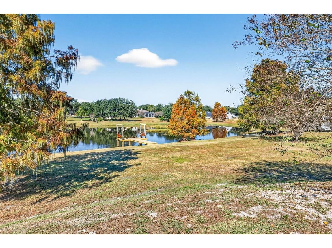 18051 Hancock Bluff Road Dade City FL 33523 - Hancock Lake TB8452355 image86