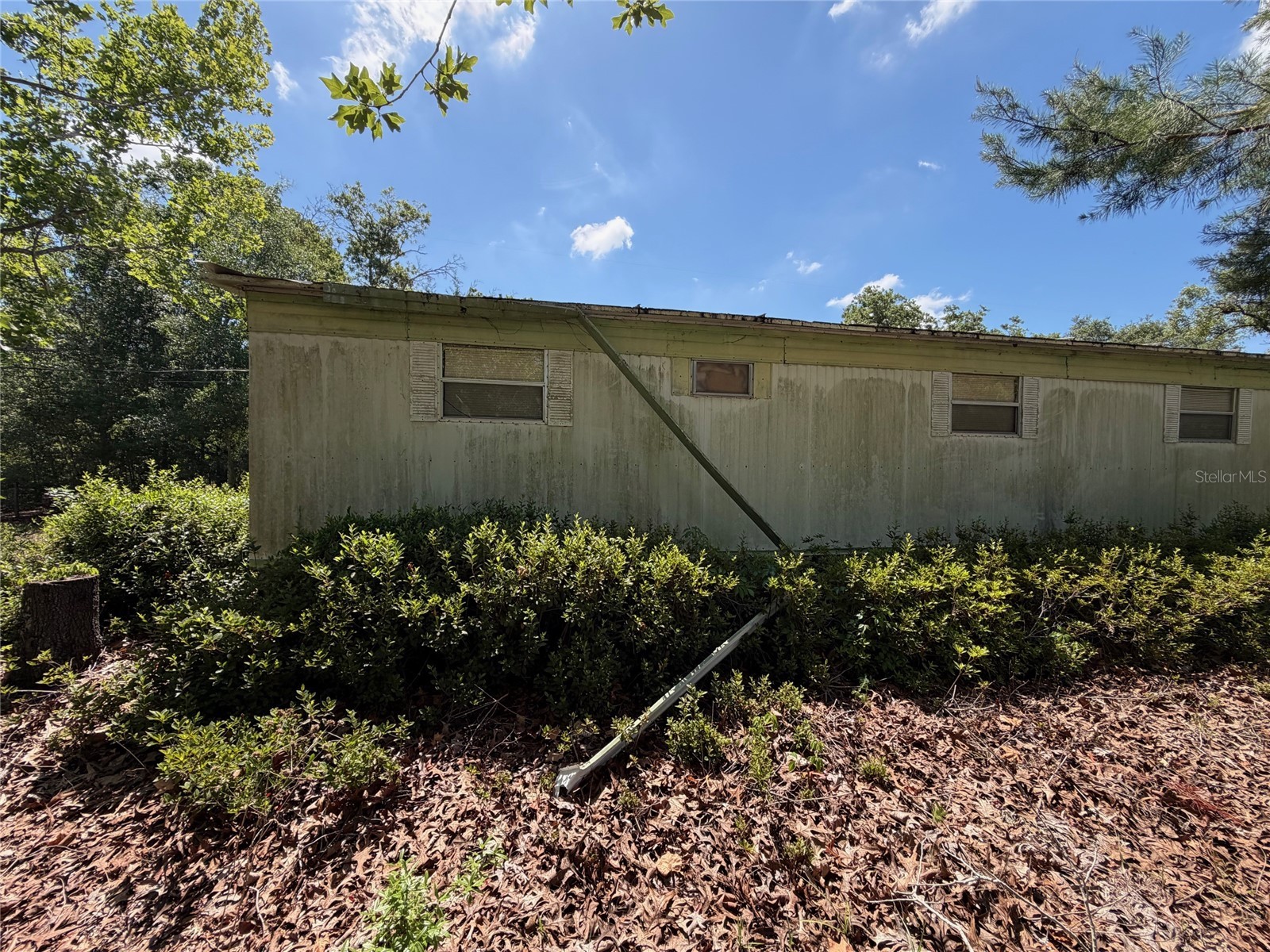 18054 Manteno Drive Spring Hill FL 34610 W7885881 image10